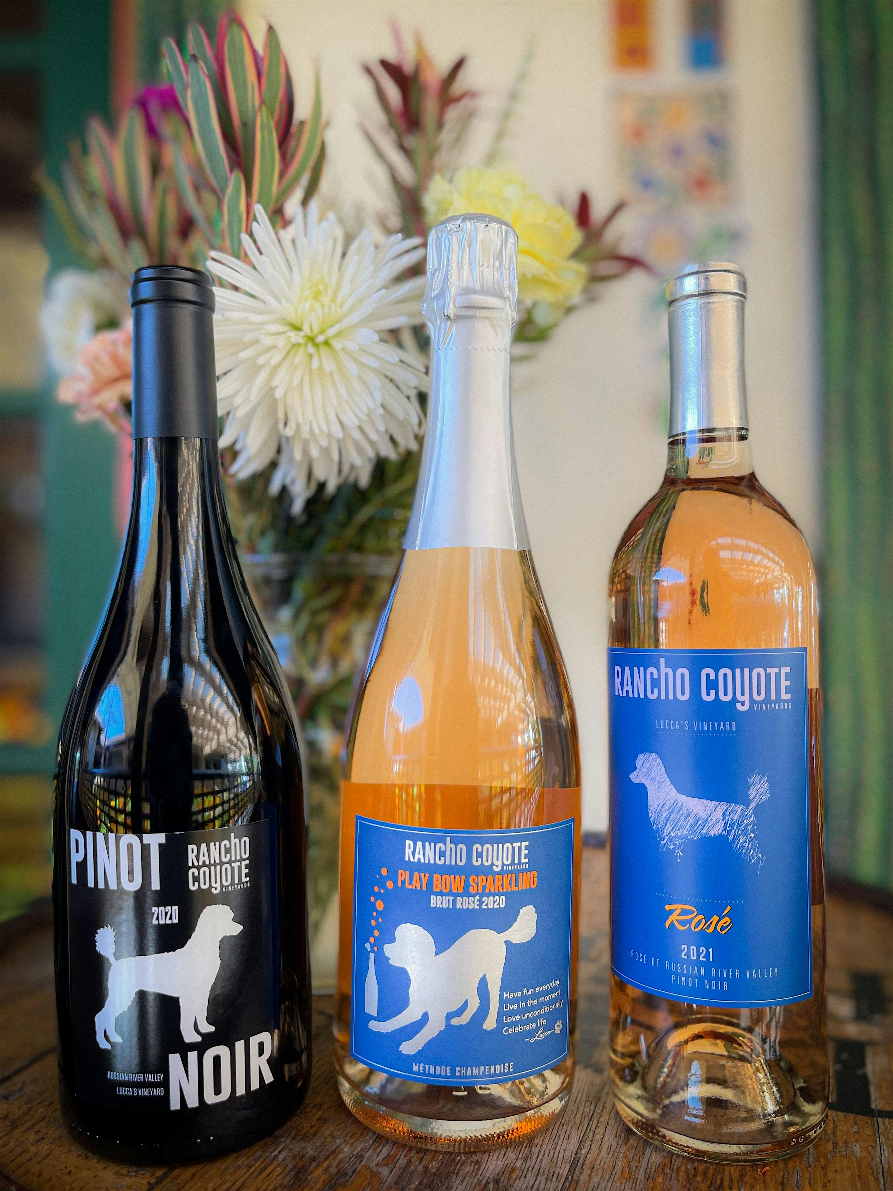Sip & Paint Fiesta Wine Wednesdays at 2461 San Diego Ave – San Diego, CA
