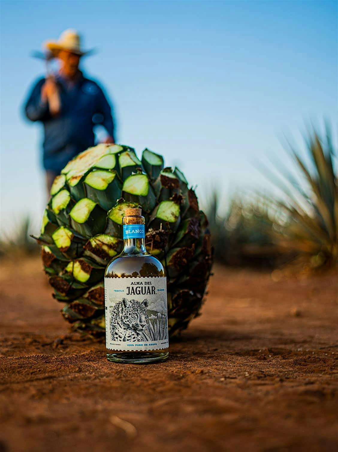 Big C Liquors Alma Del Jaguar Event at El Potro Mexican Restaurant – Orlando, FL