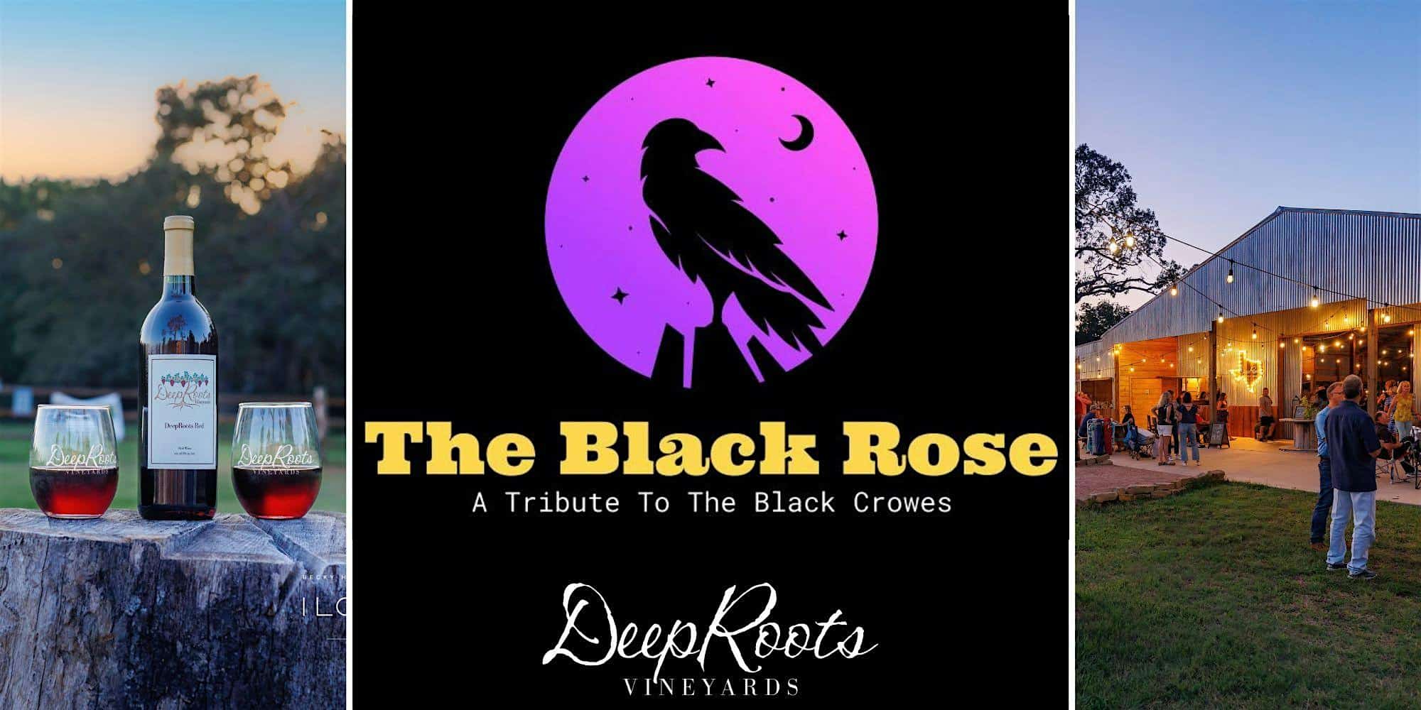 BLACK CROWES TRIBUTE by The Black Rose |TX wine & craft beer | DeepRoots at DeepRoots Vineyards – Plantersville, TX