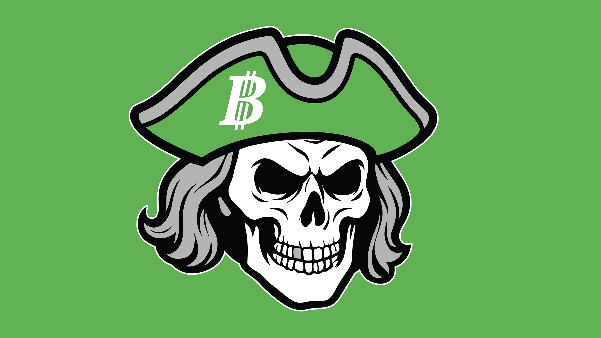 Pennsylvania Benjamins vs. Zurich Ibexx – IAL Football at The Santander Arena – Reading, PA