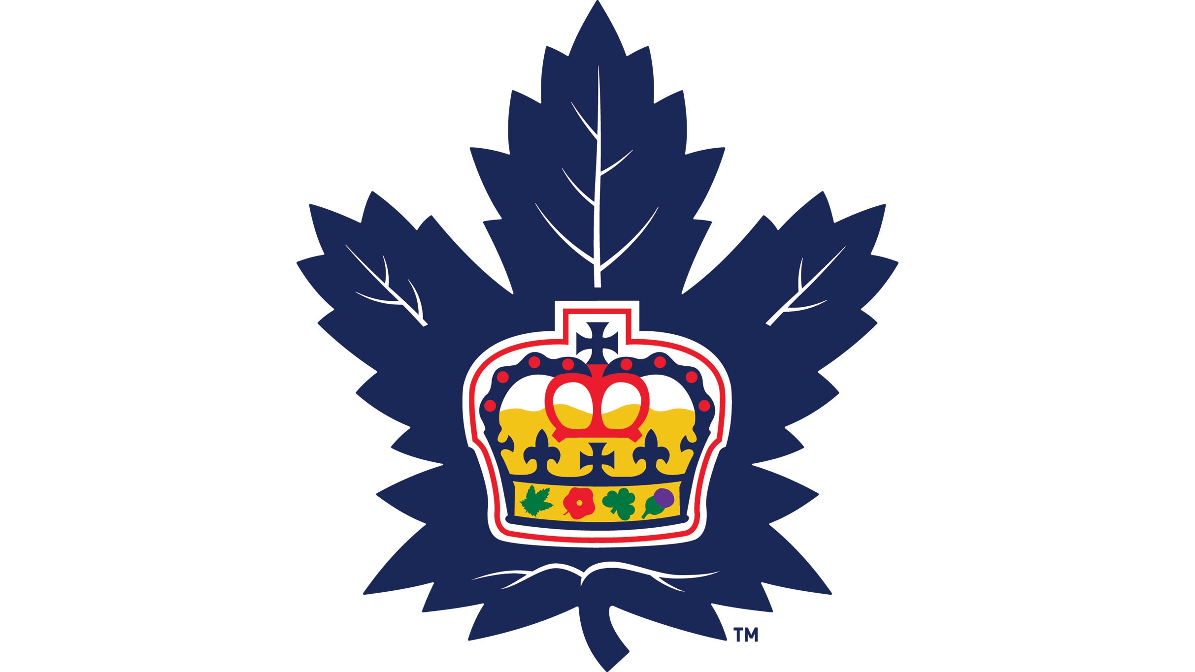 Toronto Marlies v Chicago Wolves – AHL Playoffs Round 5 Home Game 3 at Coca-Cola Coliseum – Toronto, Canada