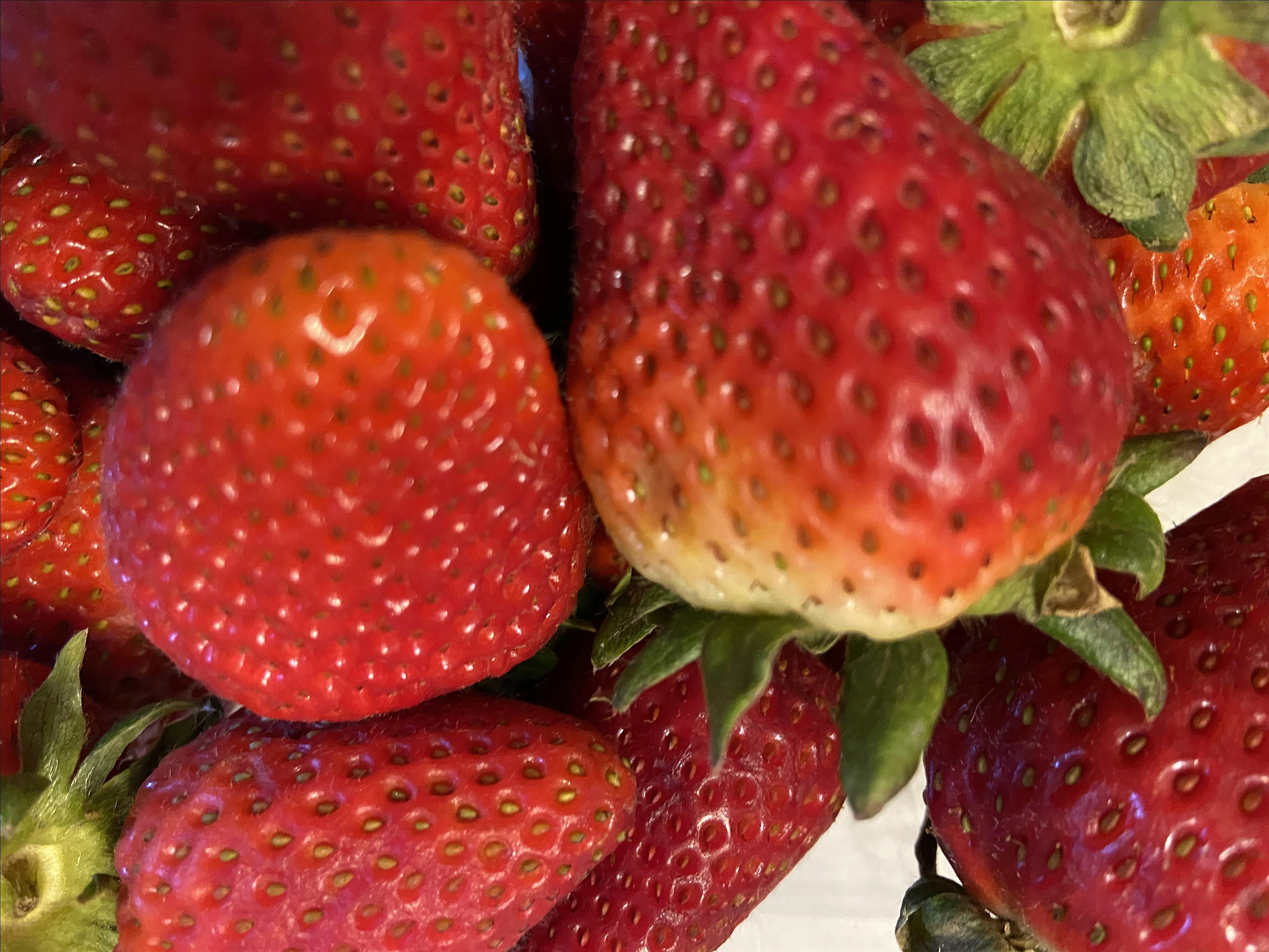 Annie’s Signature Sweets -FOOLPROOF FRESH STRAWBERRY Pie Baking Class at Annie’s Signature Sweets – Berea, OH