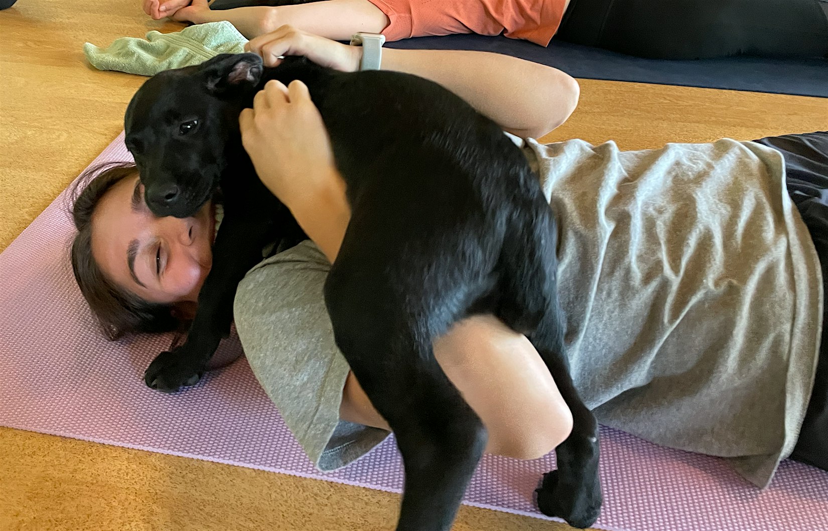 DNYP – Pups and Poses at Three Danes Wellness at Three Danes Wellness – Mine Hill Township, NJ