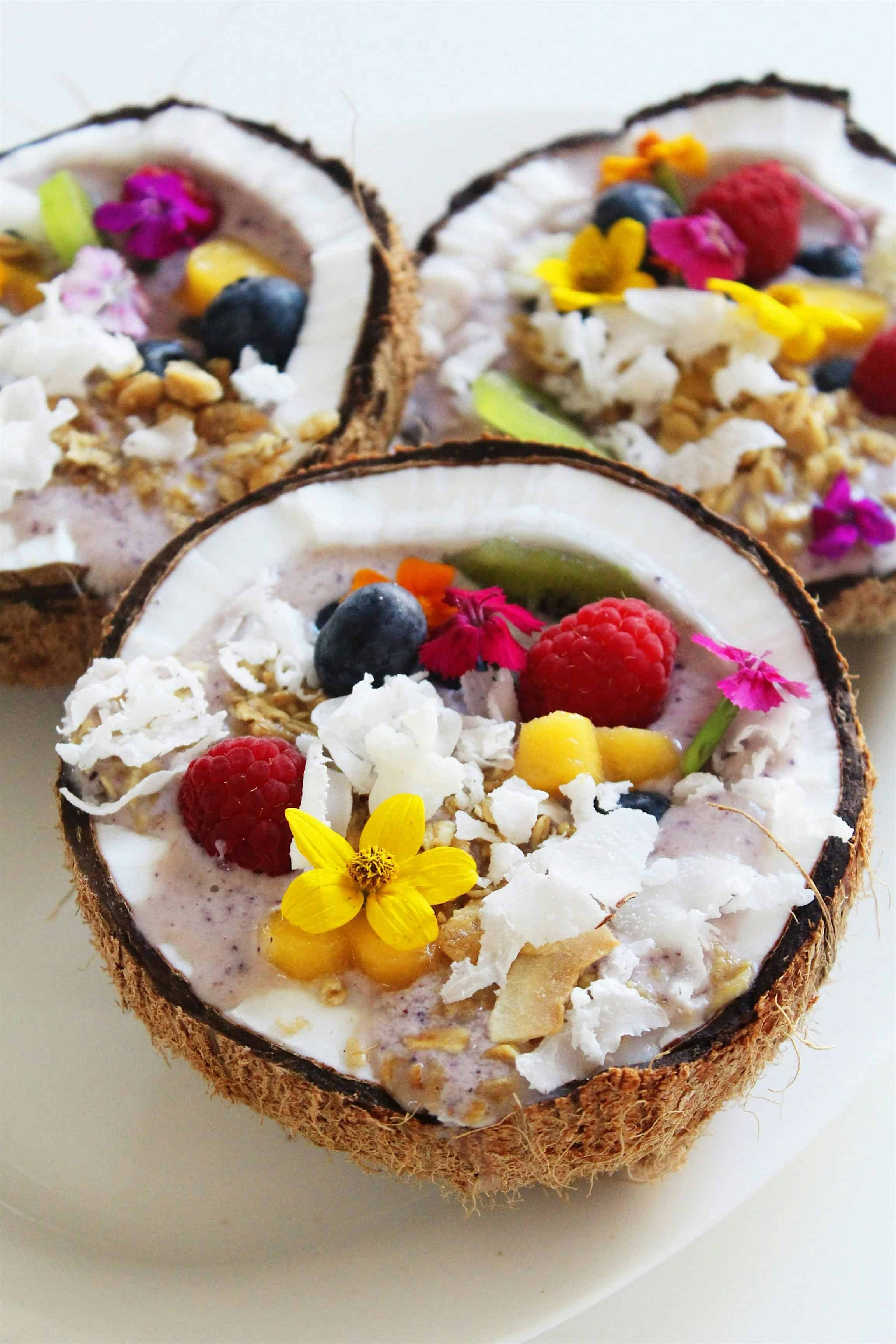 Coconut Affair: A Celebration of Taste & Tropics at 1219 Shepherd Dr – Houston, TX