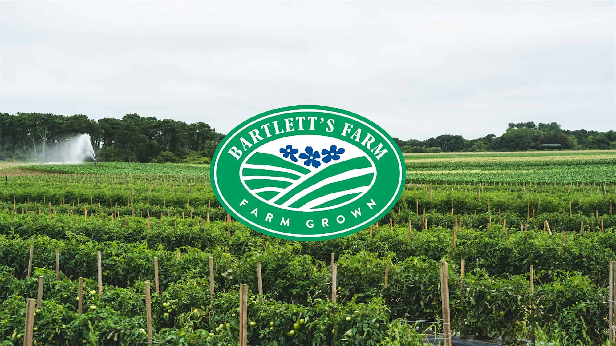Pick Your Own Veggies at Bartlett’s Farm – Nantucket, MA