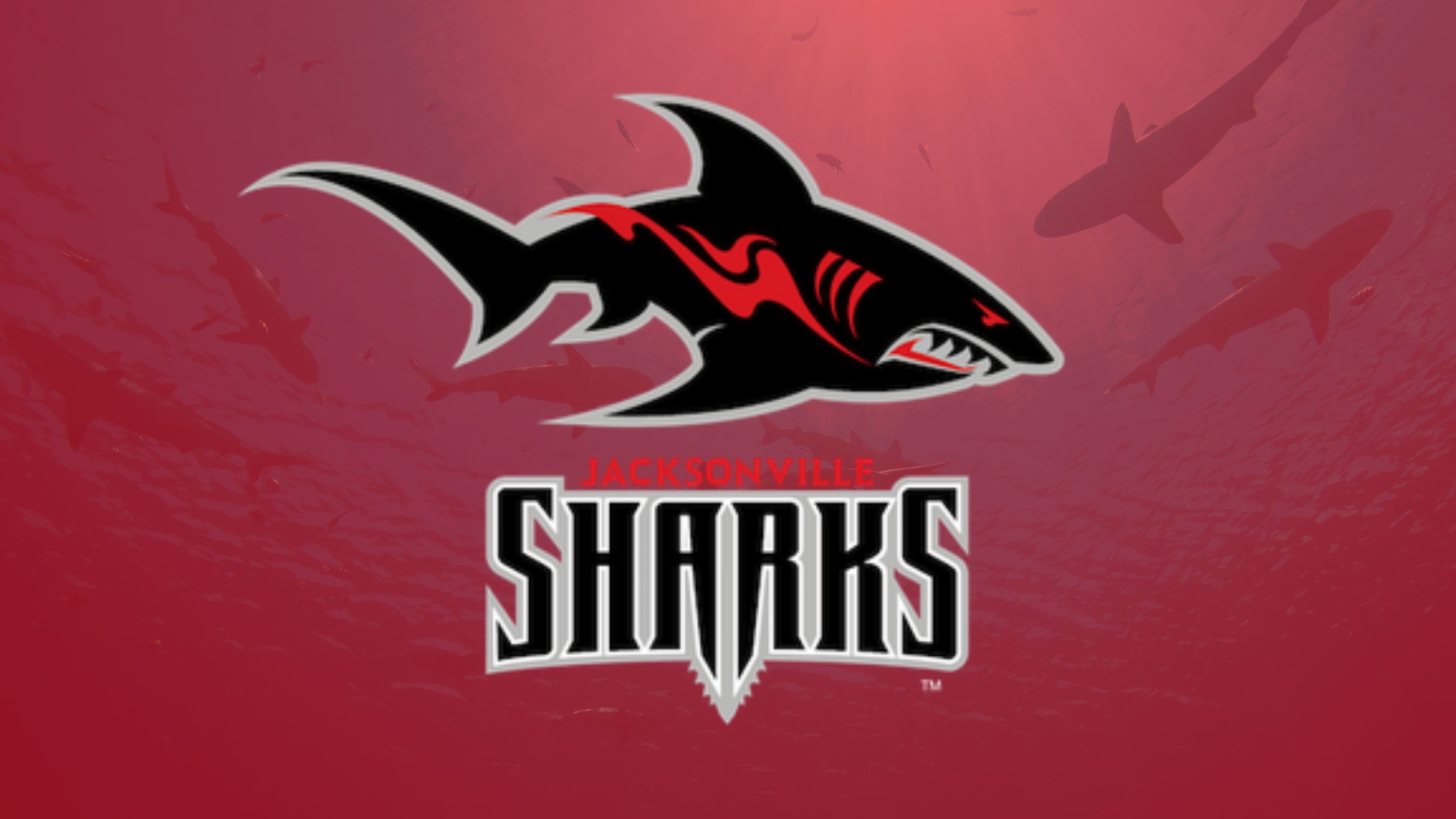 Jacksonville Sharks v San Diego Strike Force at VyStar Veterans Memorial Arena – Jacksonville, FL