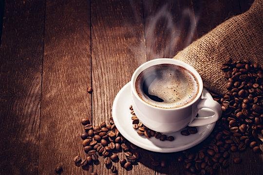 ☕ The Art of Coffee: A Tasting Journey Featuring Mission Grounds Coffee at Imagine Museum – St. Petersburg, FL