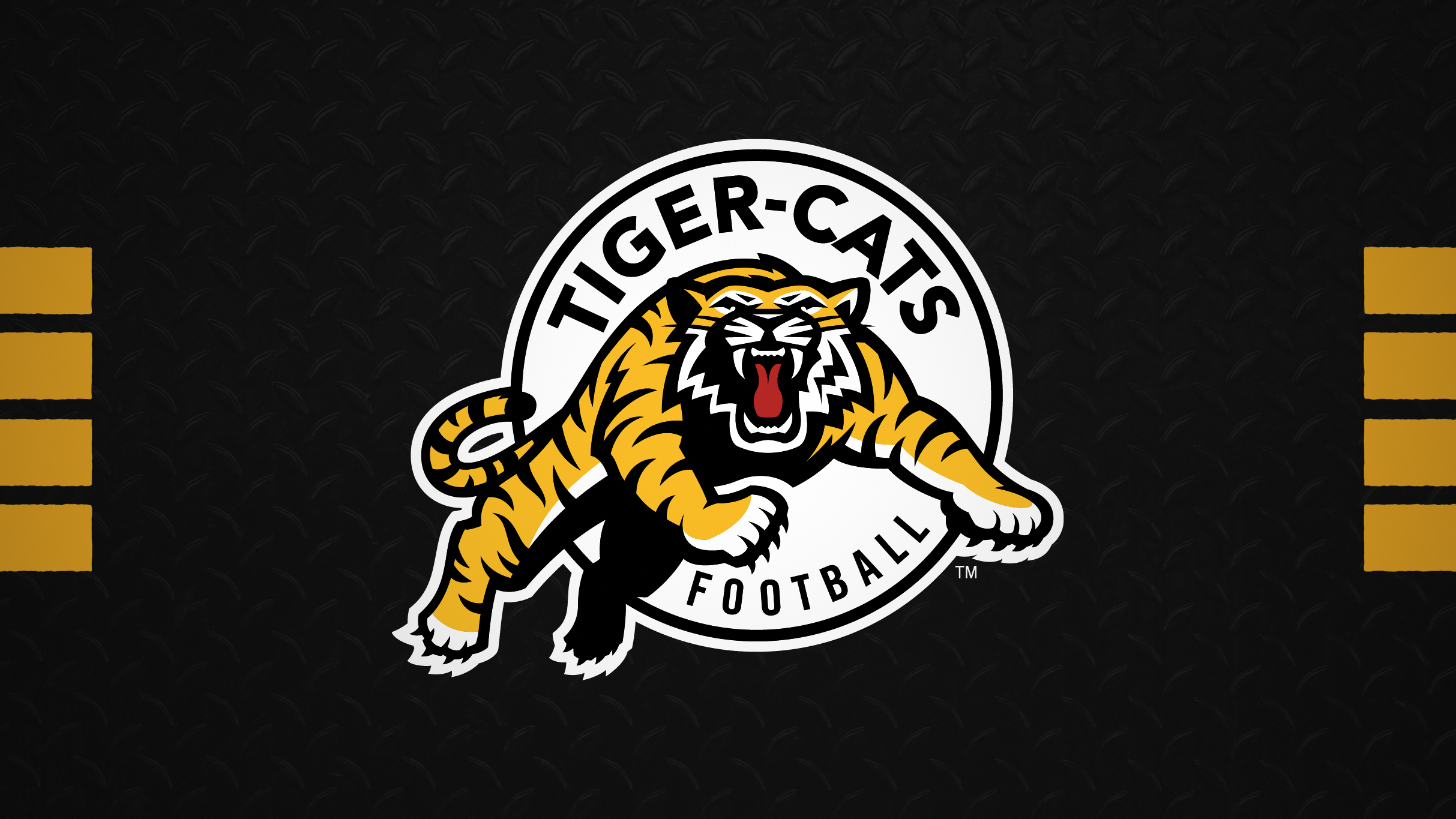 Hamilton Tiger-Cats vs. Winnipeg Blue Bombers at Hamilton Stadium – Hamilton, Canada