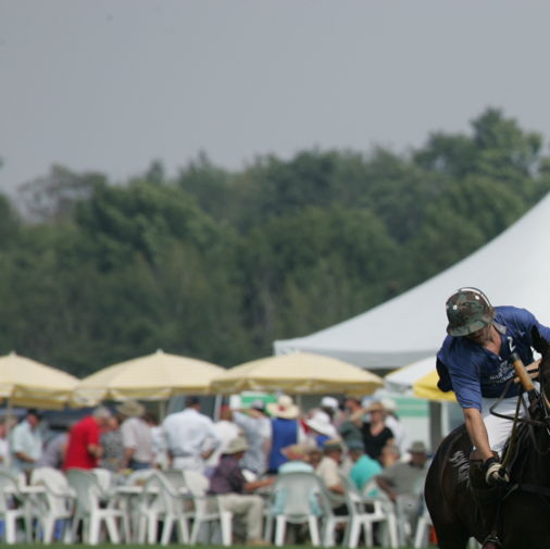 Sunday Polo Picnic General Admission at – Newmarket, Canada