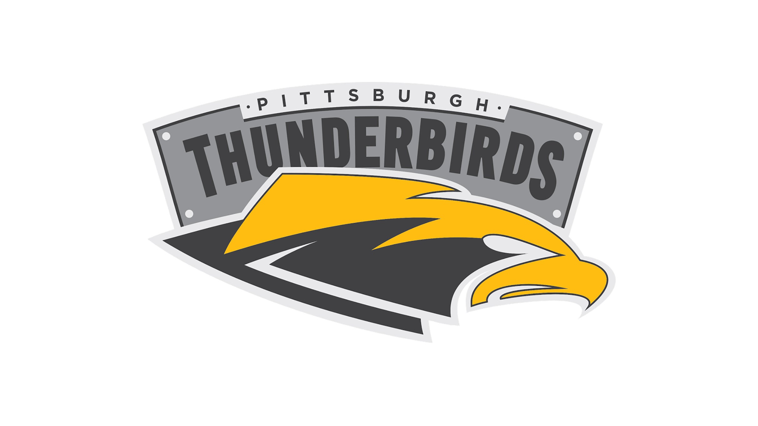 Pittsburgh Thunderbirds vs. Indianapolis AlleyCats at F.N.B. Stadium – Pittsburgh, PA