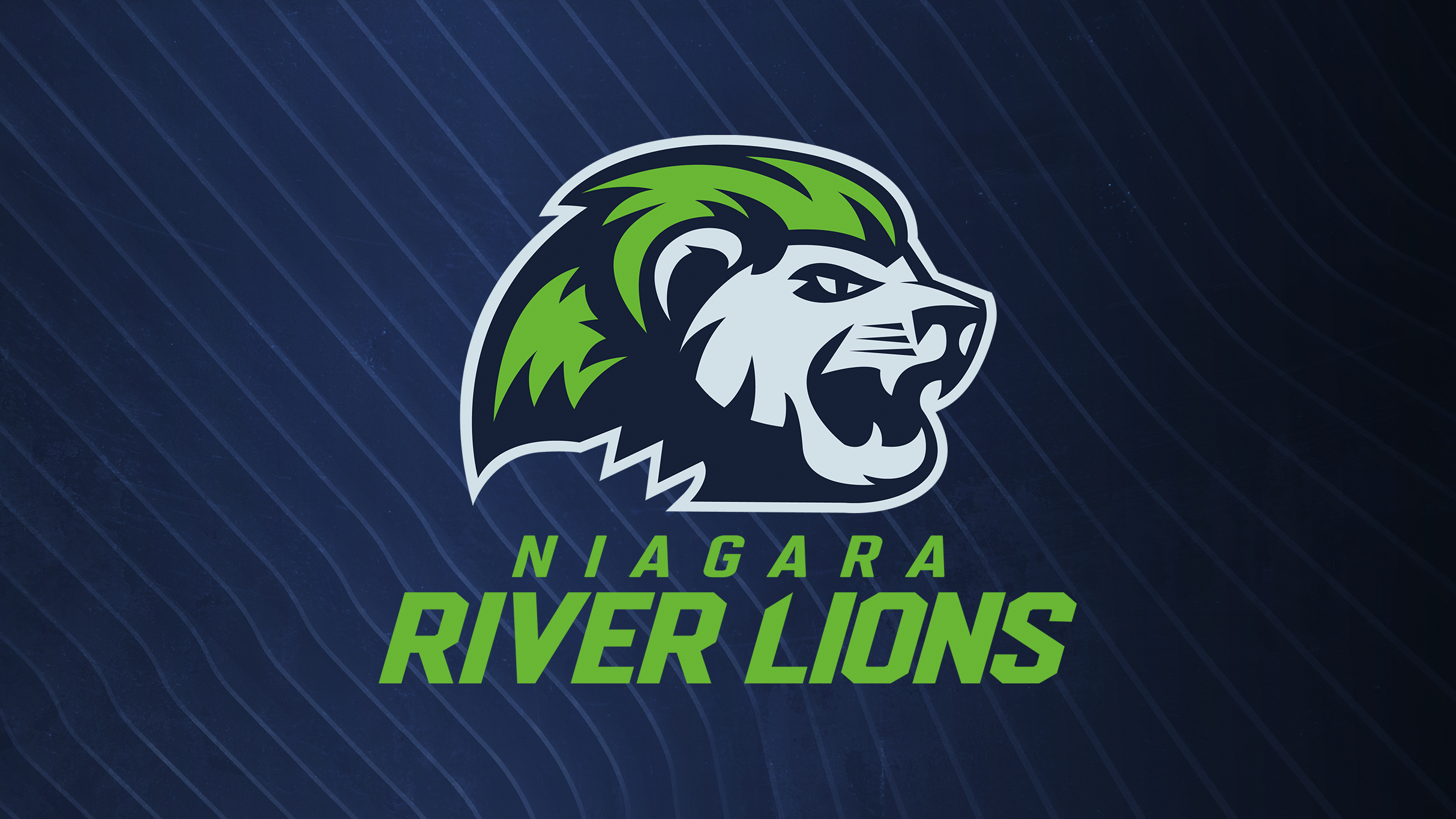 Niagara River Lions vs. Edmonton Stingers at Meridian Centre – St Catharines, ON