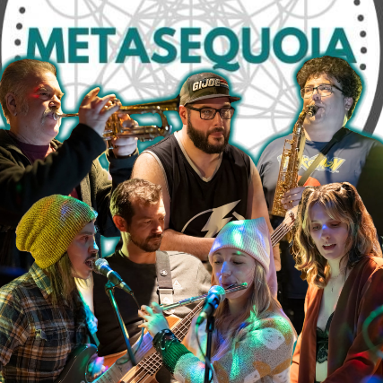 Metasequoia at Funk ‘n Waffles – Syracuse, NY