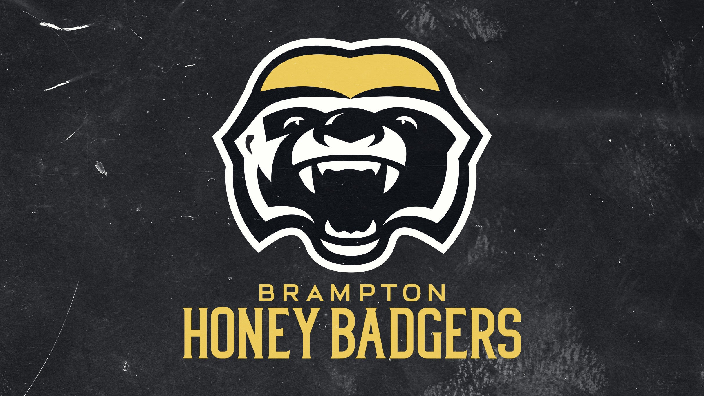 Brampton Honey Badgers vs. Montreal Alliance at CAA Centre – Brampton, ON