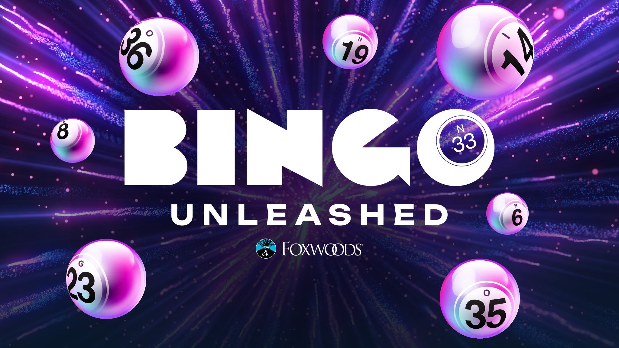 Bingo Unleashed at Foxwoods High Stakes Bingo Hall – Mashantucket, CT