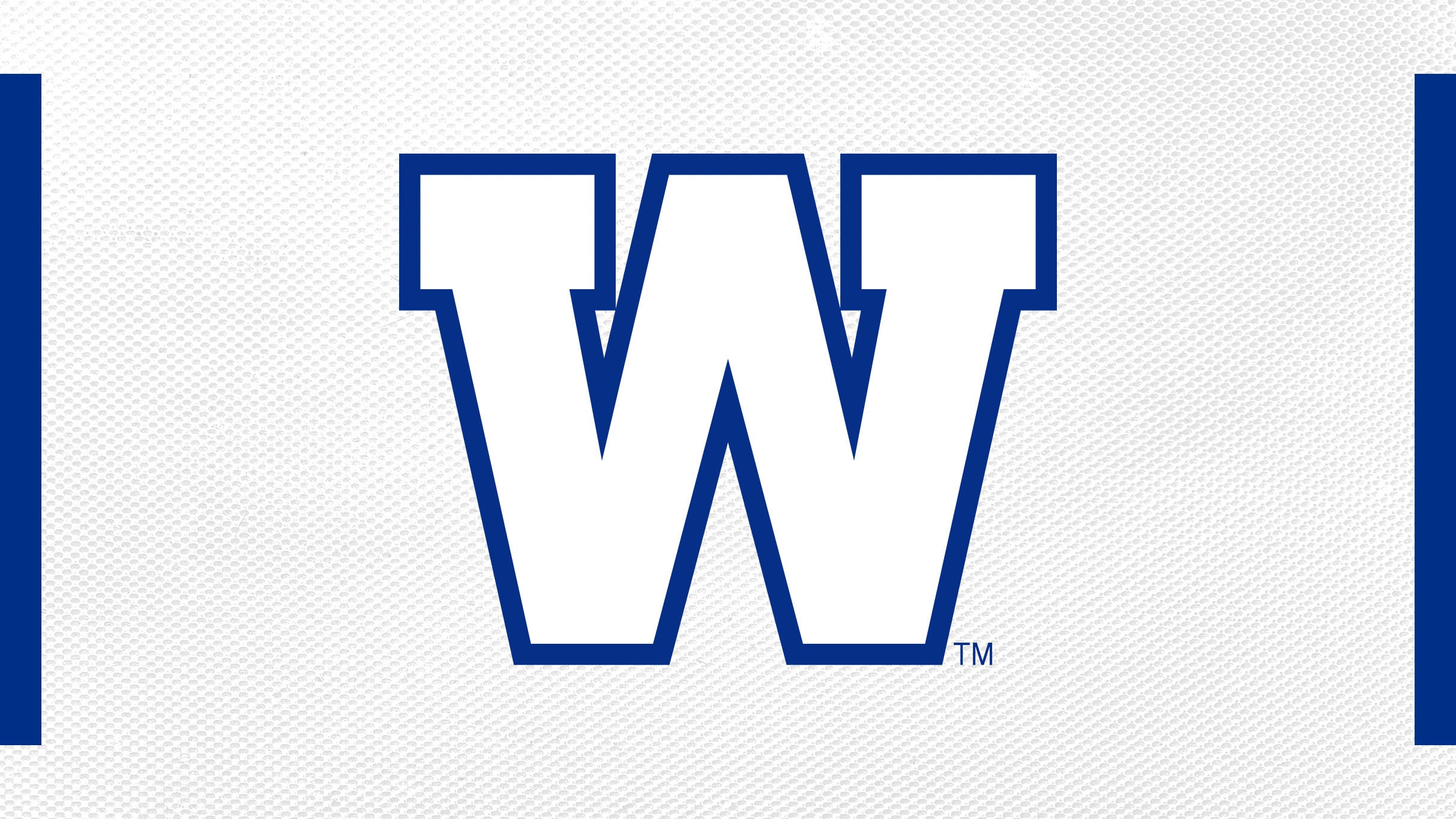 Winnipeg Blue Bombers vs. Ottawa REDBLACKS at Princess Auto Stadium – Winnipeg, MB