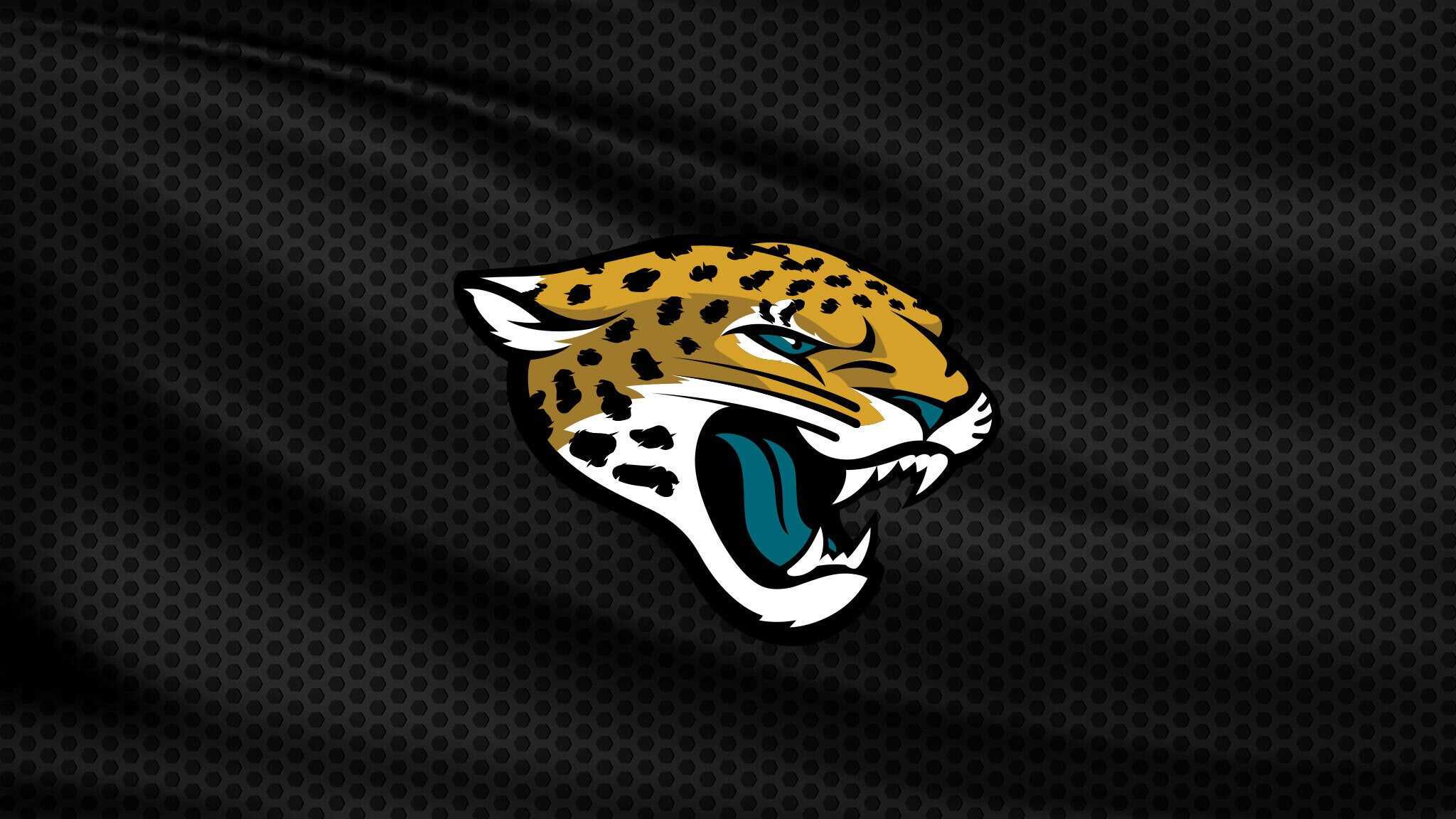 Preseason Game 1: Jacksonville Jaguars v Carolina Panthers at EverBank Stadium – Jacksonville, FL