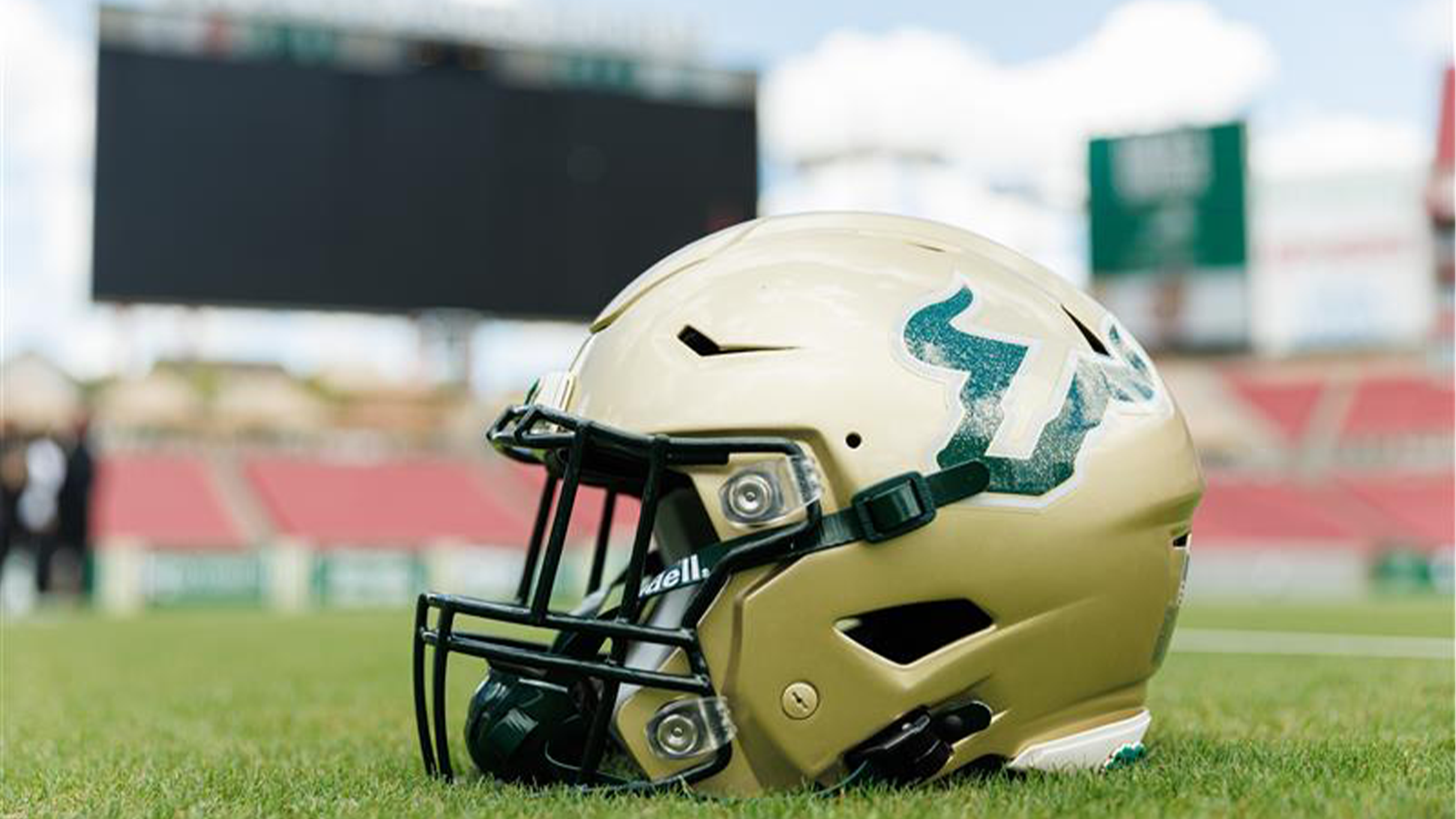 South Florida Bulls Football vs. Delaware State Hornets Football at Raymond James Stadium – Tampa, FL