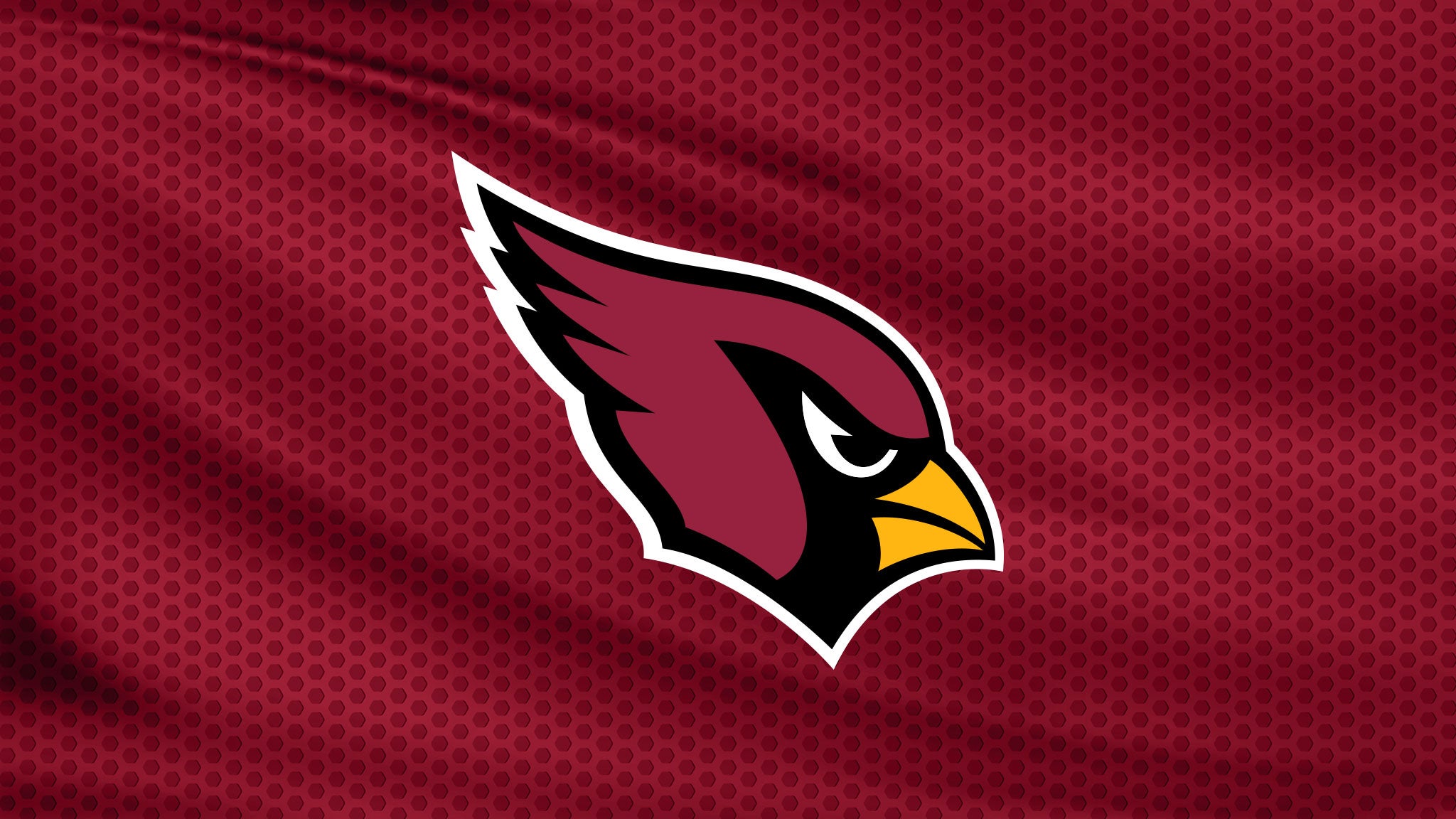 Arizona Cardinals v Detroit Lions at State Farm Stadium – Glendale, AZ