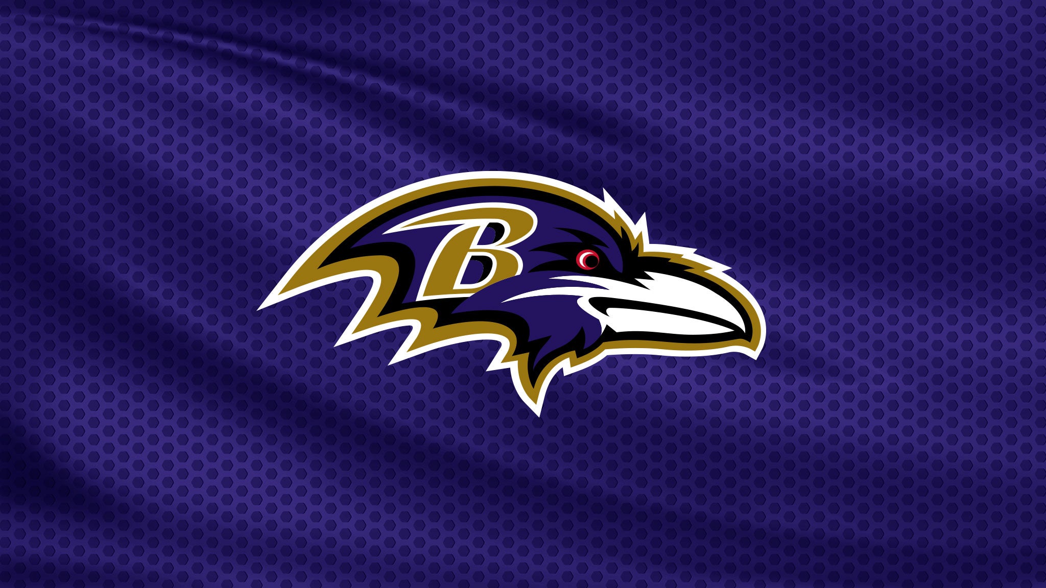Baltimore Ravens v Cincinnati Bengals at M&T Bank Stadium – Baltimore, MD