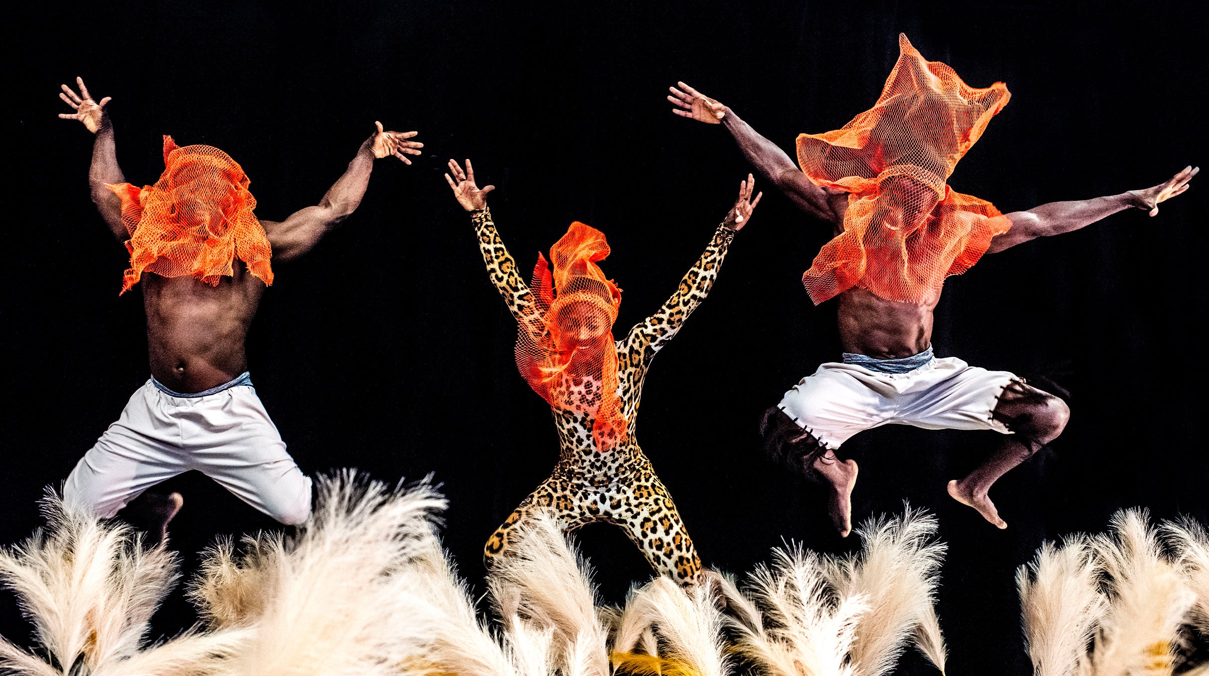 Cirque Kalabanté: WOW (World of Words) at Colden Auditorium at Kupferberg Center for the Arts – Queens, NY