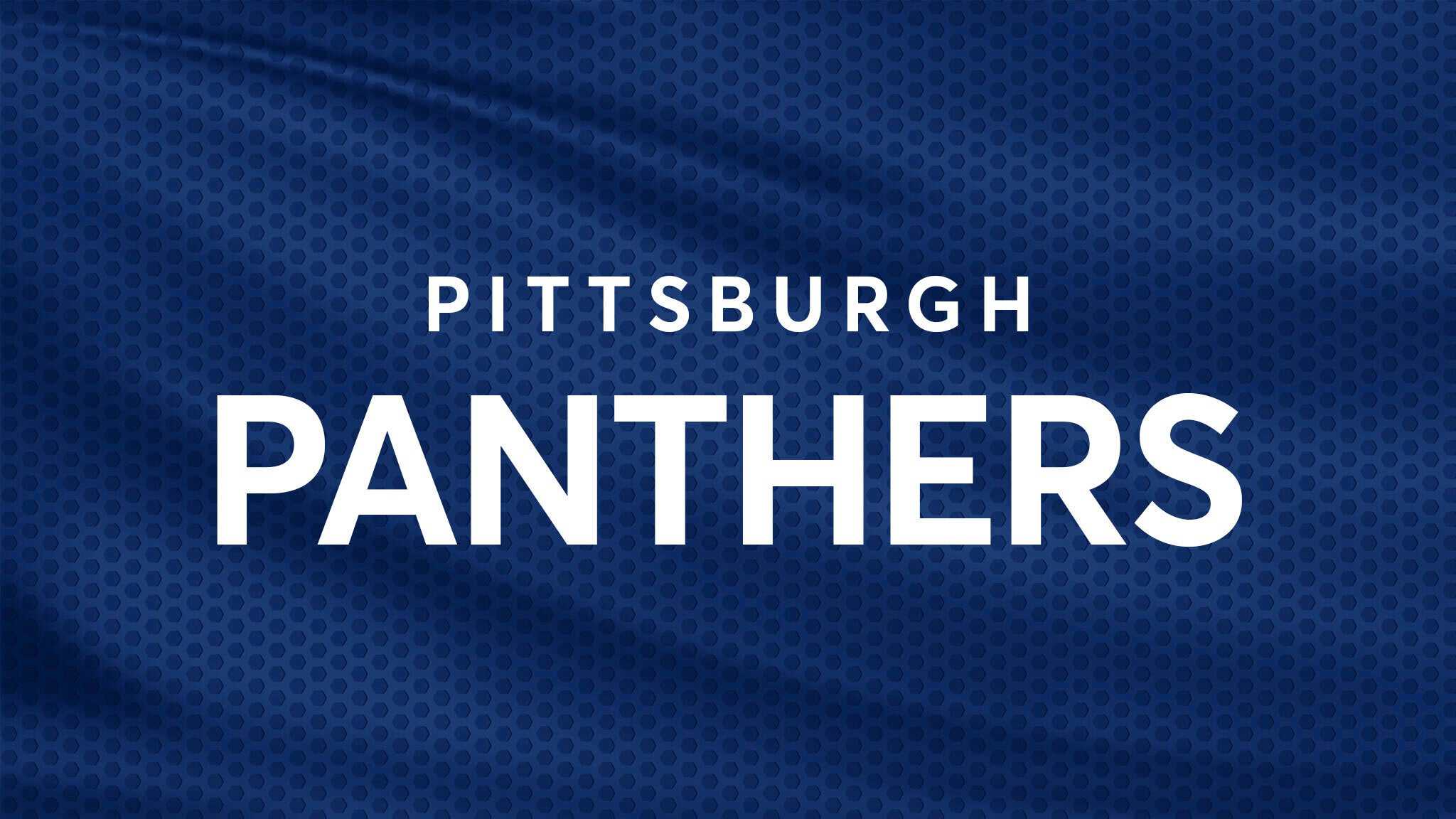 Pittsburgh Panthers Football vs. Florida State Seminoles Football at Acrisure Stadium – Pittsburgh, PA