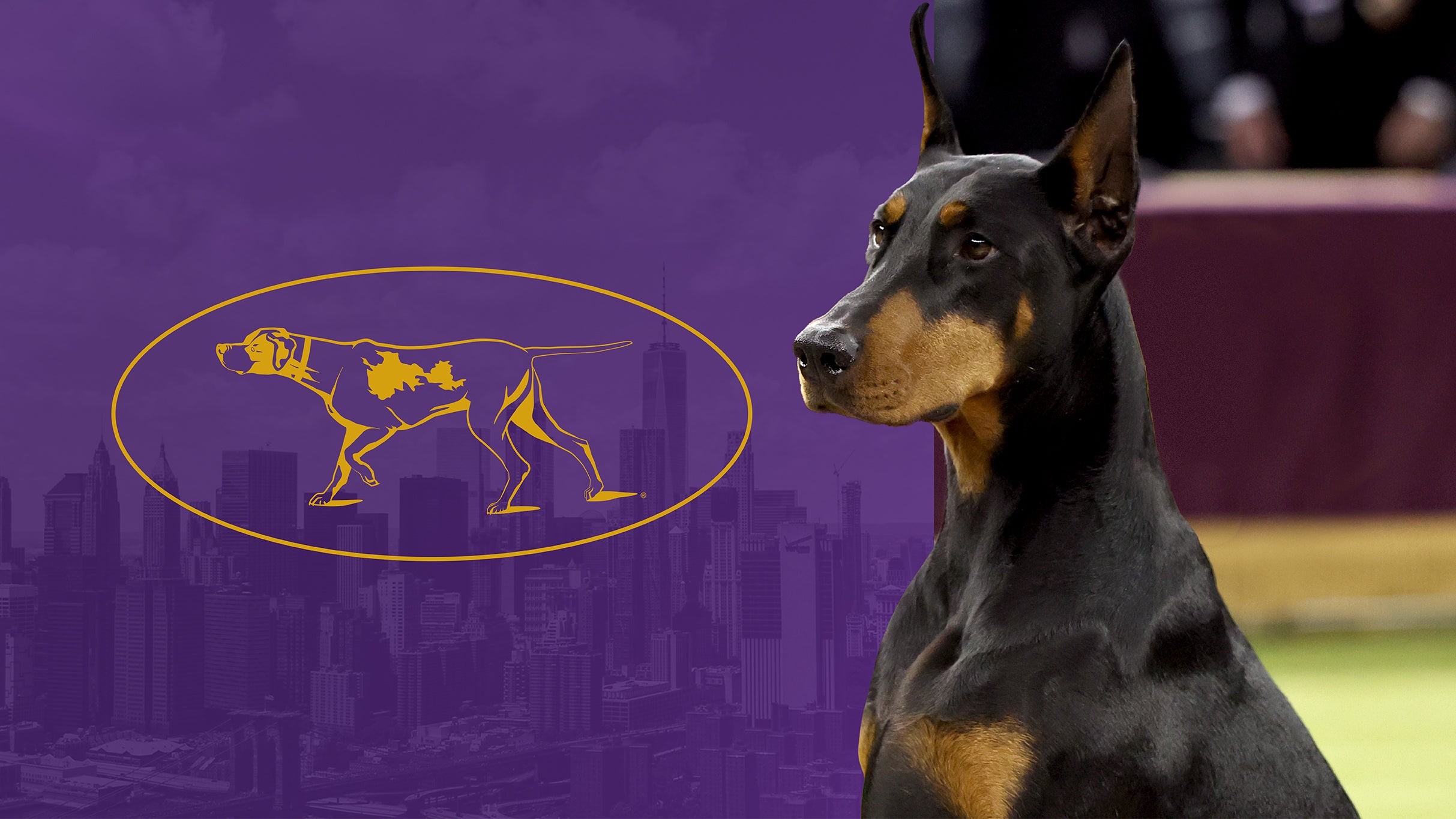 151st Westminster Kennel Club Dog Show – Reserved Two Night Pass at Madison Square Garden – New York, NY