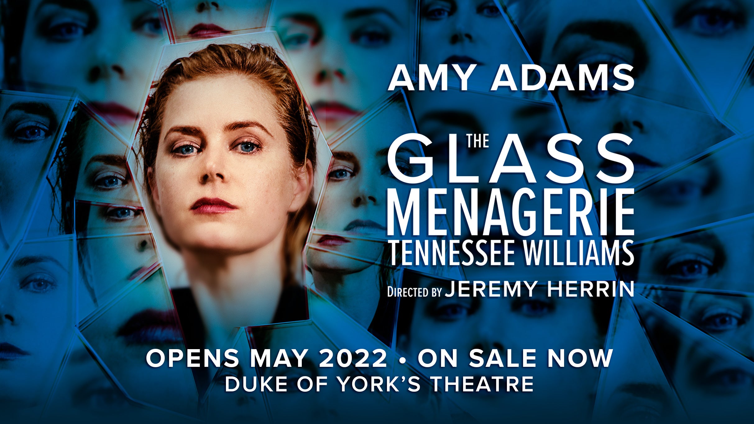 The Glass Menagerie at Citadel Theatre Lake Forest – Chicago, IL
