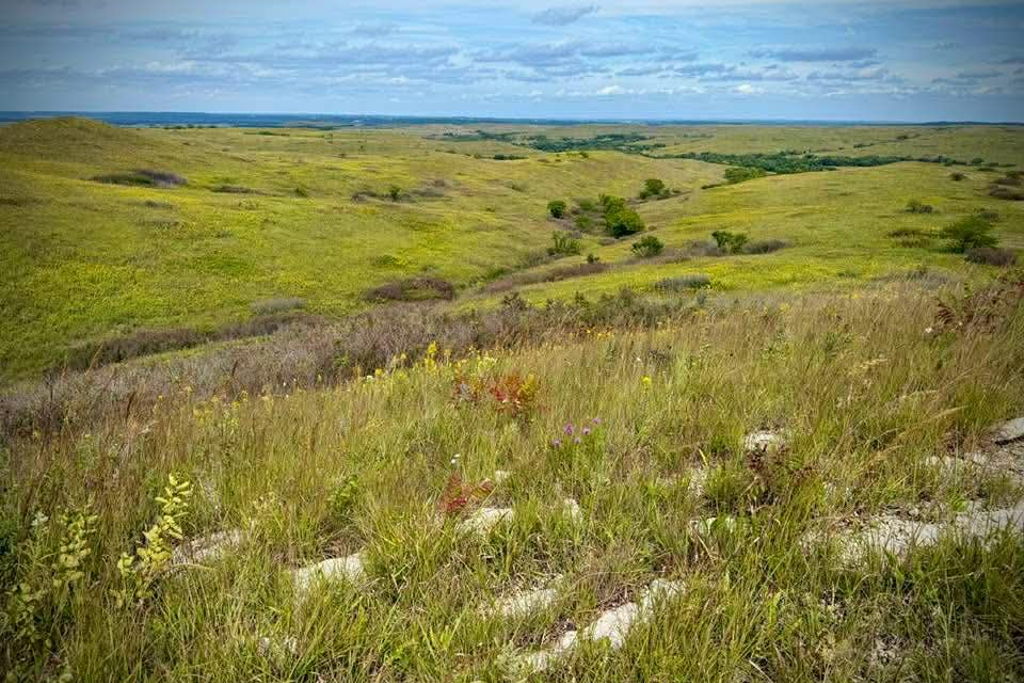 Great Plains Paint Night at – Wichita, KS