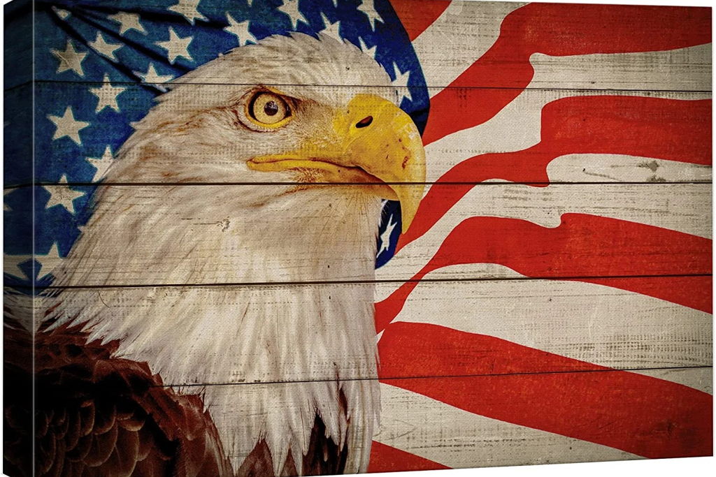 American Bald Eagle Paint Night at – Wichita, KS