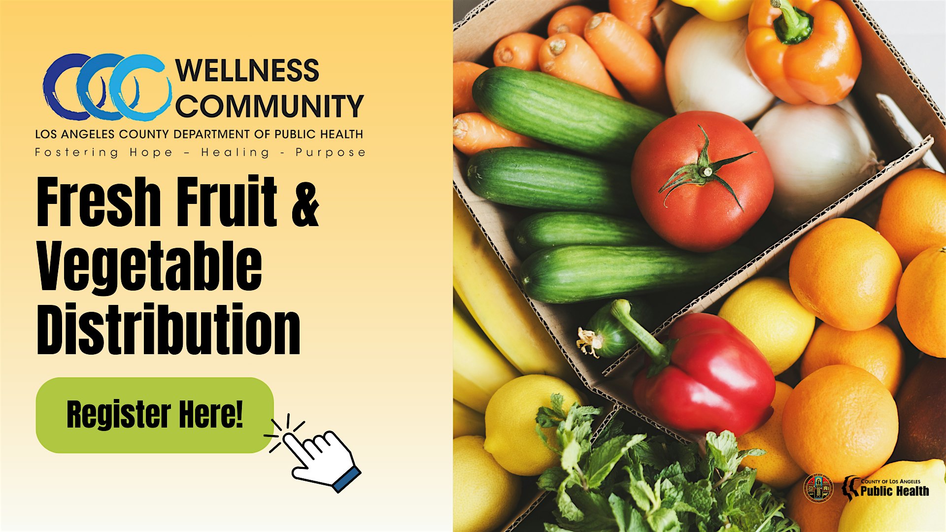 Free Fresh Fruit and Vegetable Distribution at San Fernando Health Center – DHS LA County – San Fernando, CA