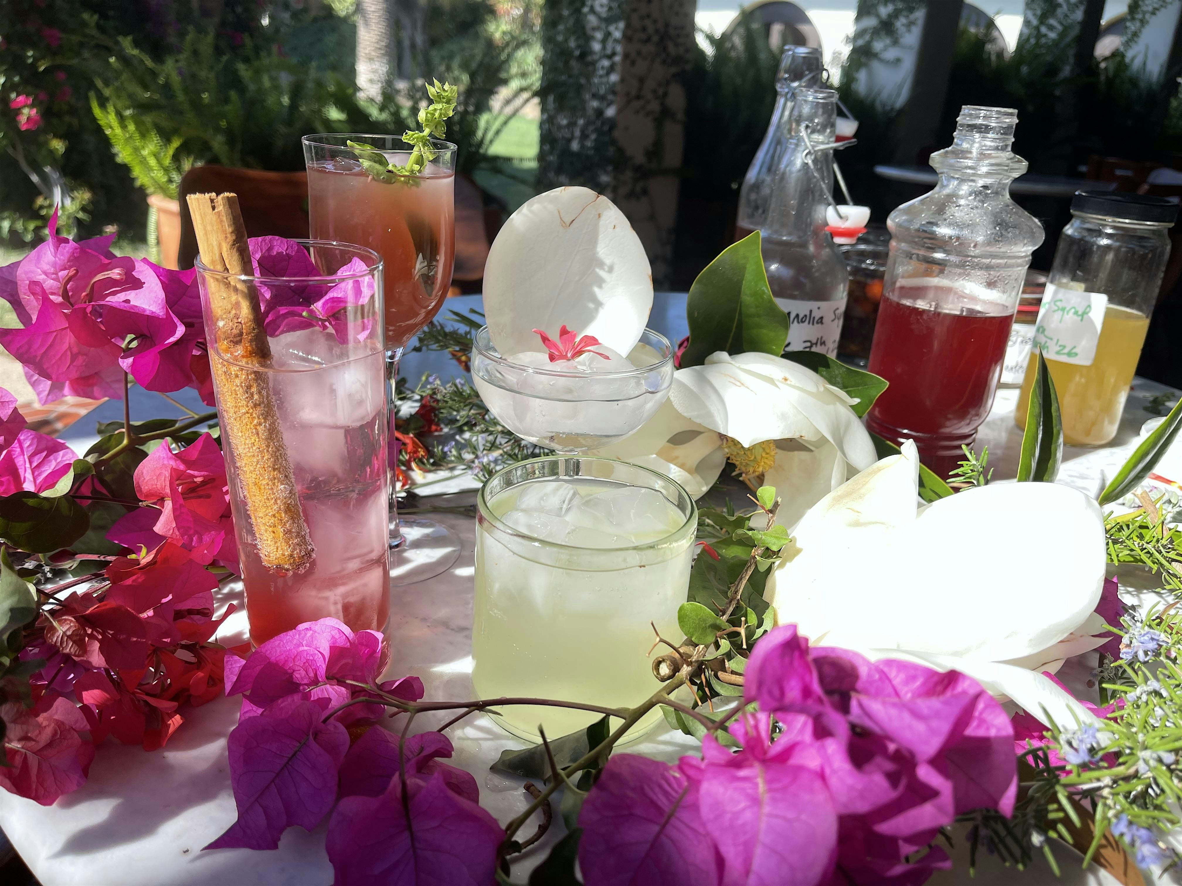 Wild Flavors of Ojai: Crafting Botanical Syrups for Cocktails & Mocktails at Hotel El Roblar – Ojai, CA