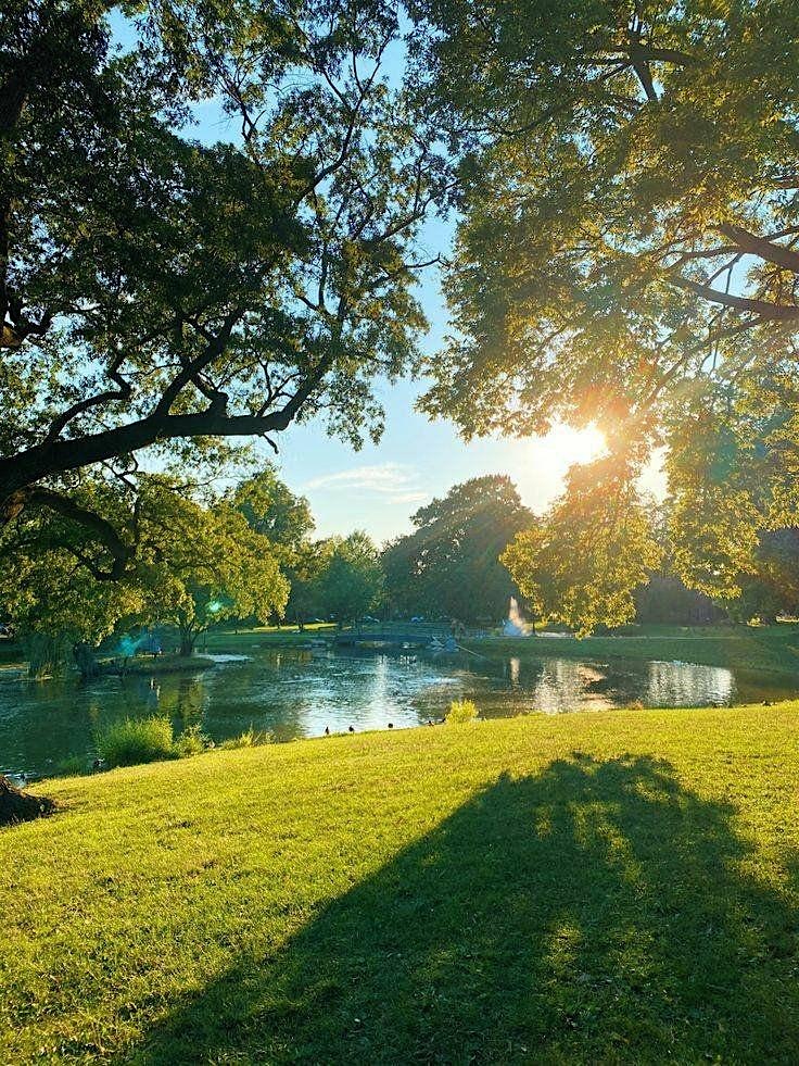 Day of Reunion ACTIVITY Ticket at City Park – New Orleans, LA