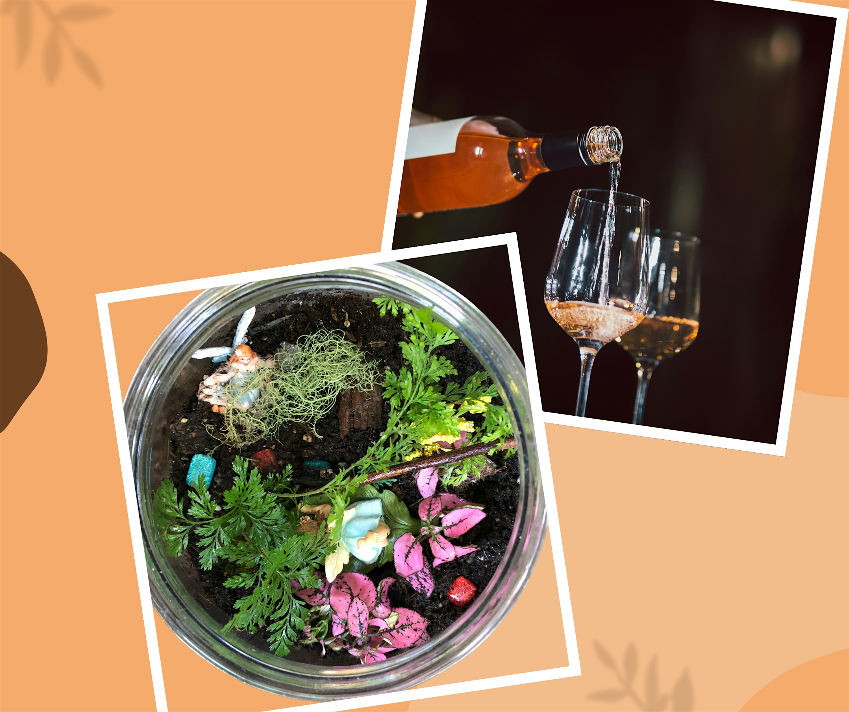 Bloom Among the Vines at Delicato Family Wines Tasting Room – Manteca, CA