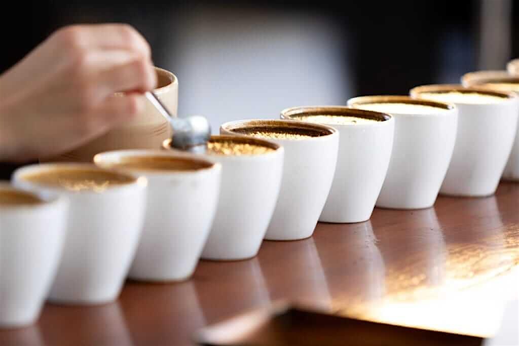 Coffee Know How : Cupping Class at 4999 W 44th Ave – Denver, CO