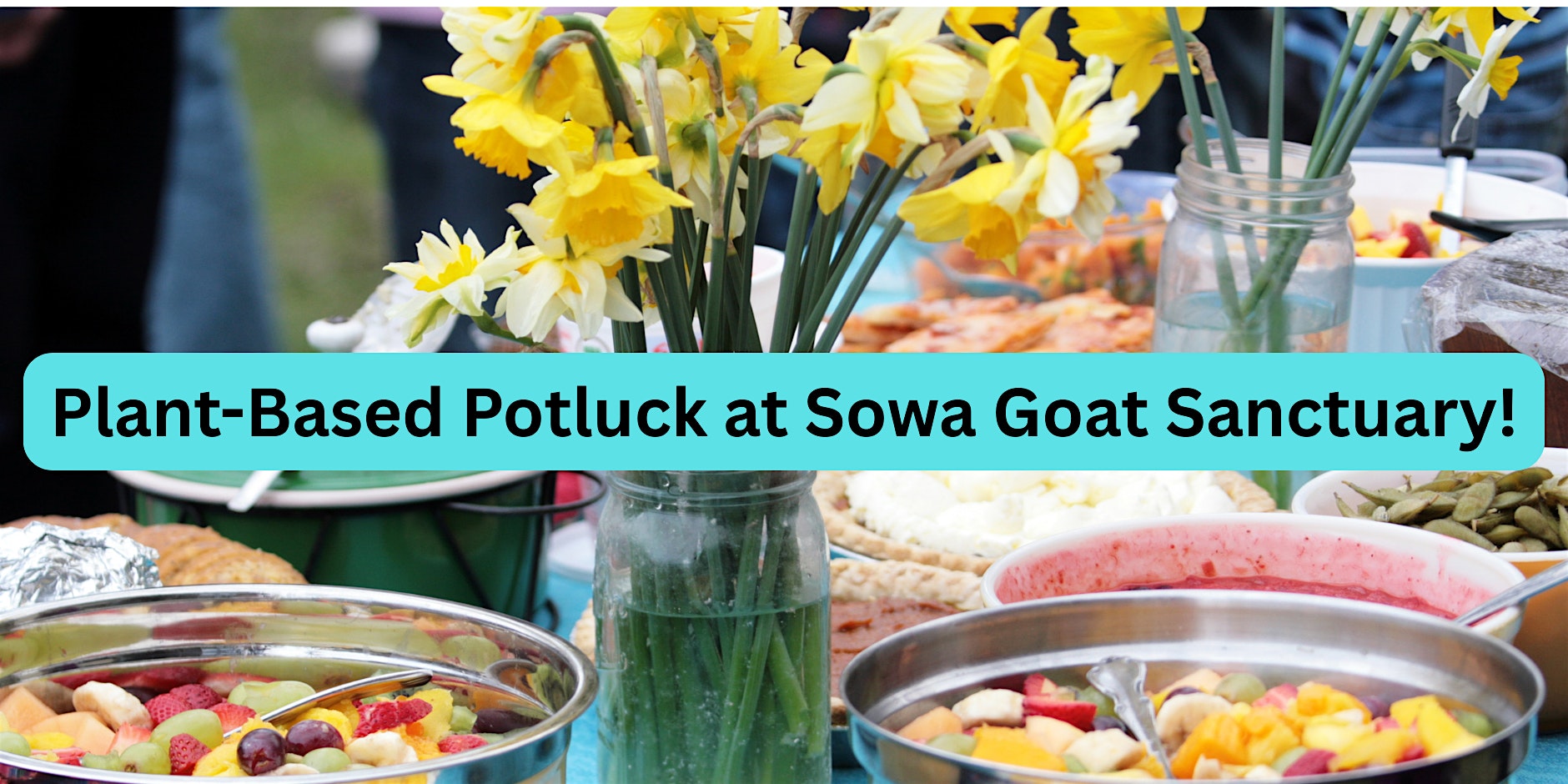 Plant-Based Potluck at Sowa Goat Sanctuary at 184 Old Littleton Rd – Harvard, MA