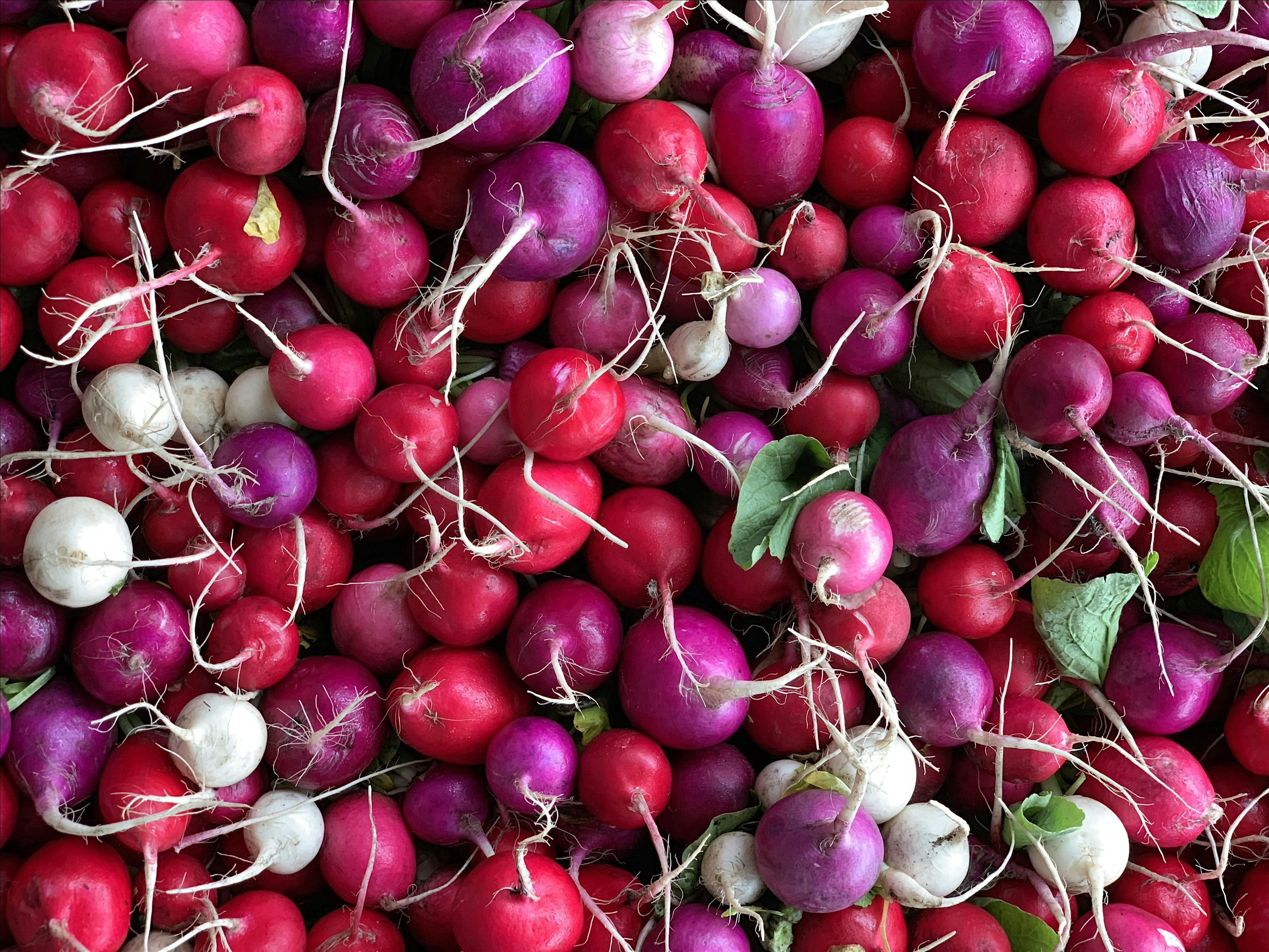 4th Ave Sunset Park Greenmarket at 4th Ave Sunset Park Greenmarket – Brooklyn, NY