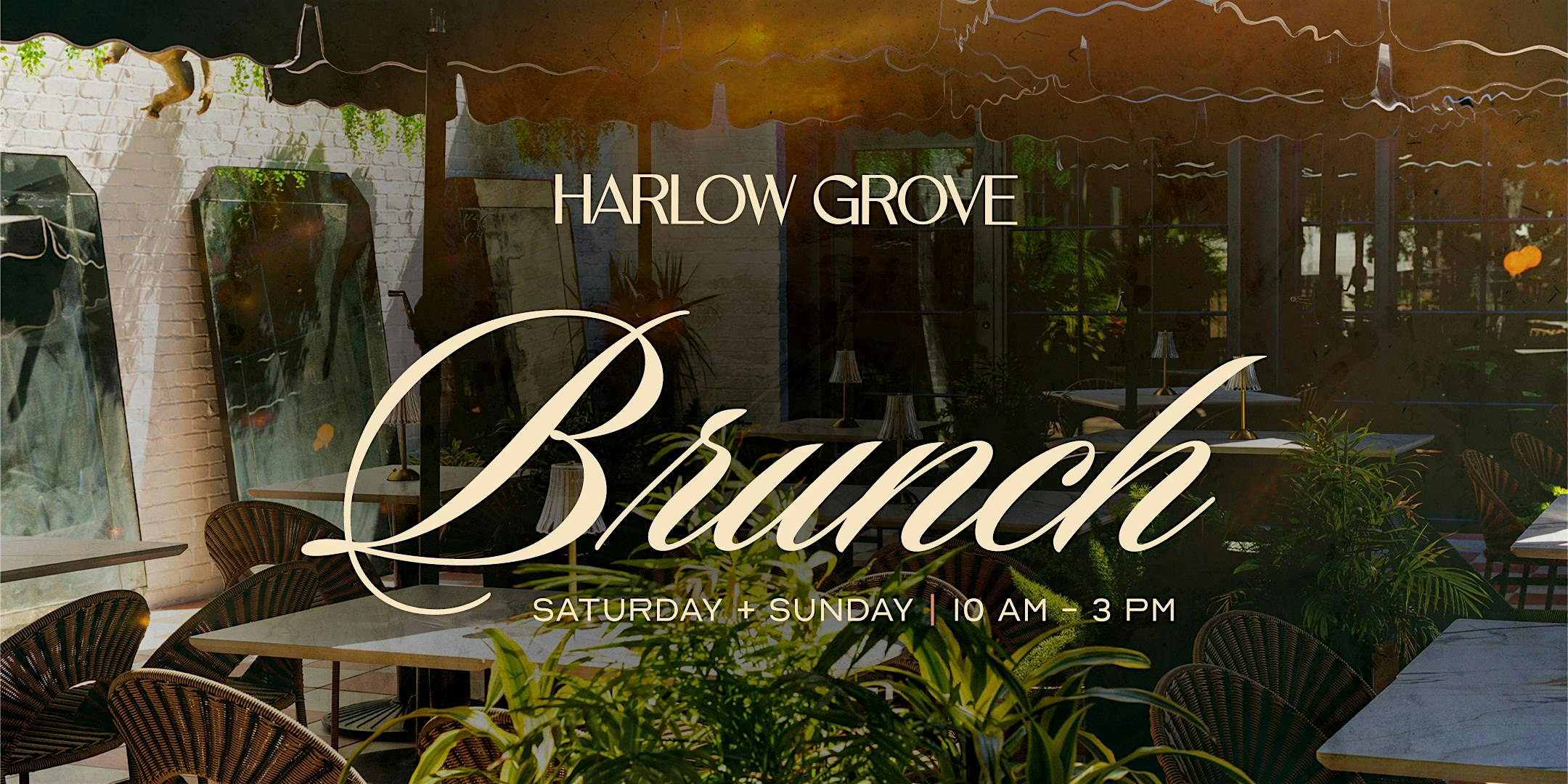 Brunch At Harlow Grove at Harlow Grove – Winter Garden, FL