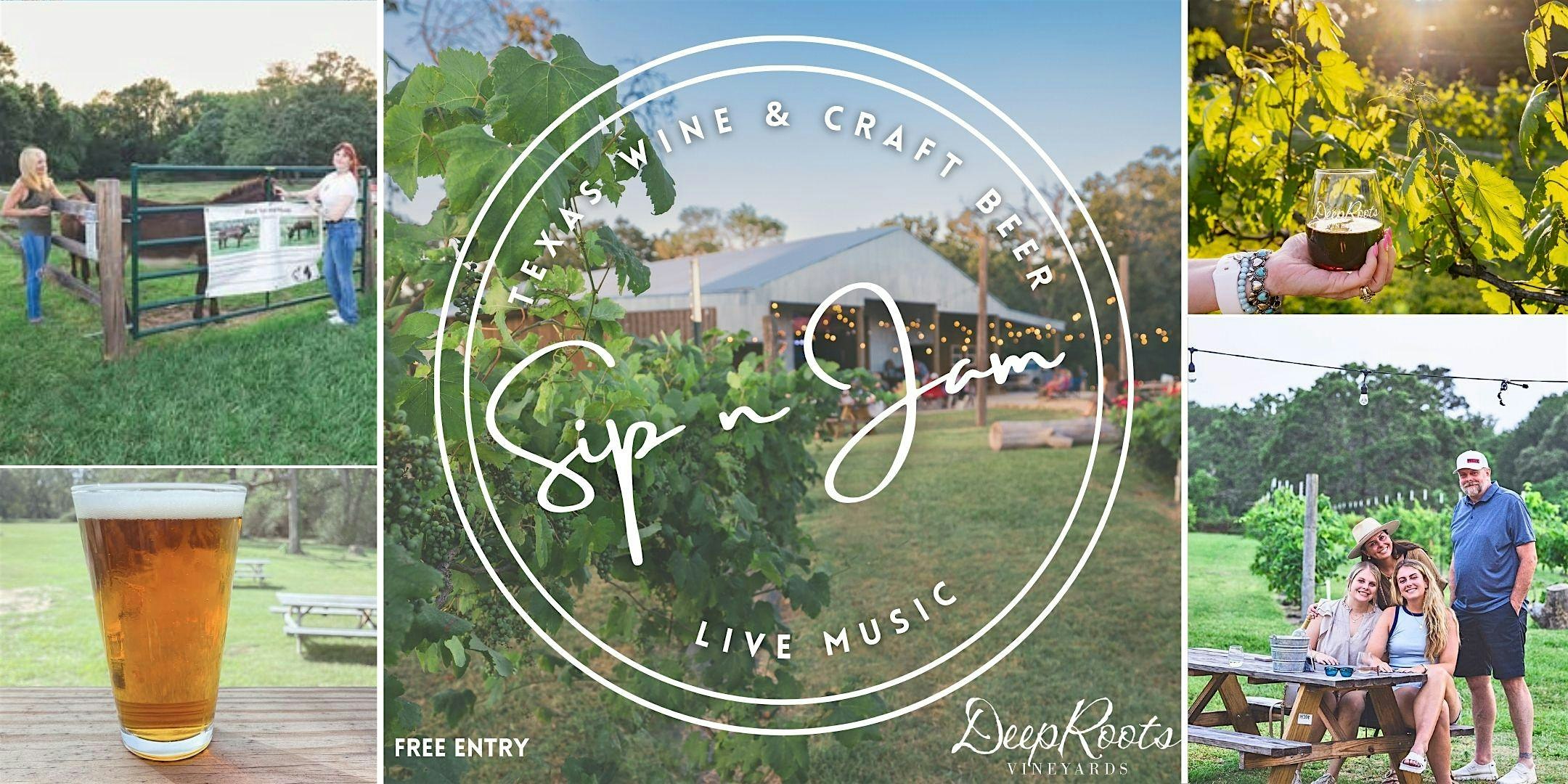 Wine flights, craft beer, & LIVE MUSIC by Dean Matthew -Saturday Sip & Jam at DeepRoots Vineyards – Plantersville, TX