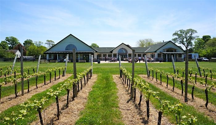 Cotton Club Signature Cocktail Brunch in the Hamptons at Duck Walk Vineyard – Water Mill, NY
