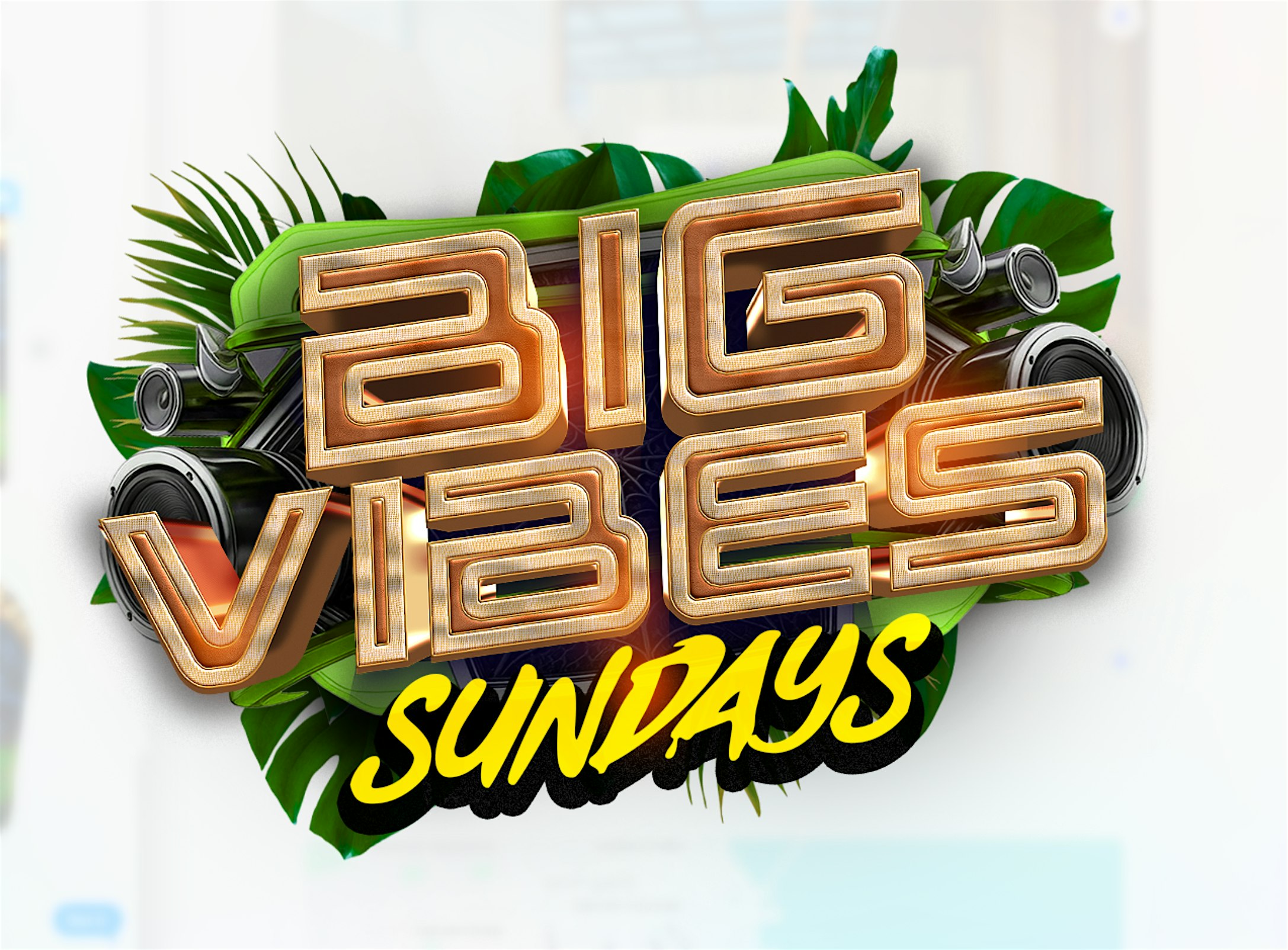 Big vibes sundays at Jouvay Night Club – Queens, NY