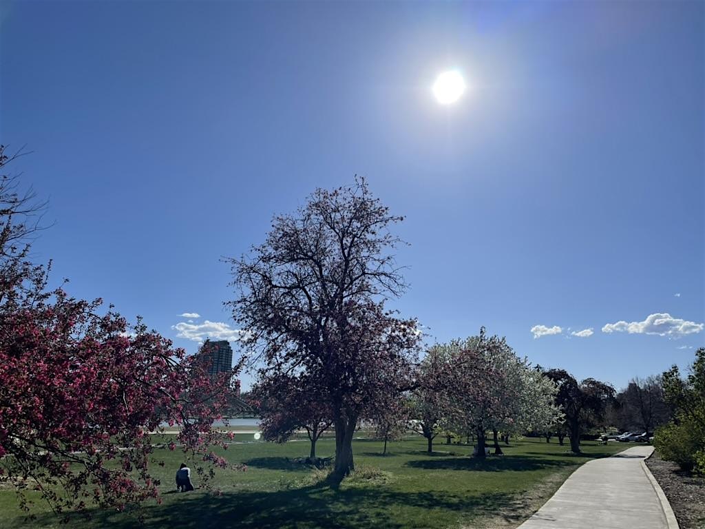 Jazz Sunday in City Park with F45! at City Park – Denver, CO