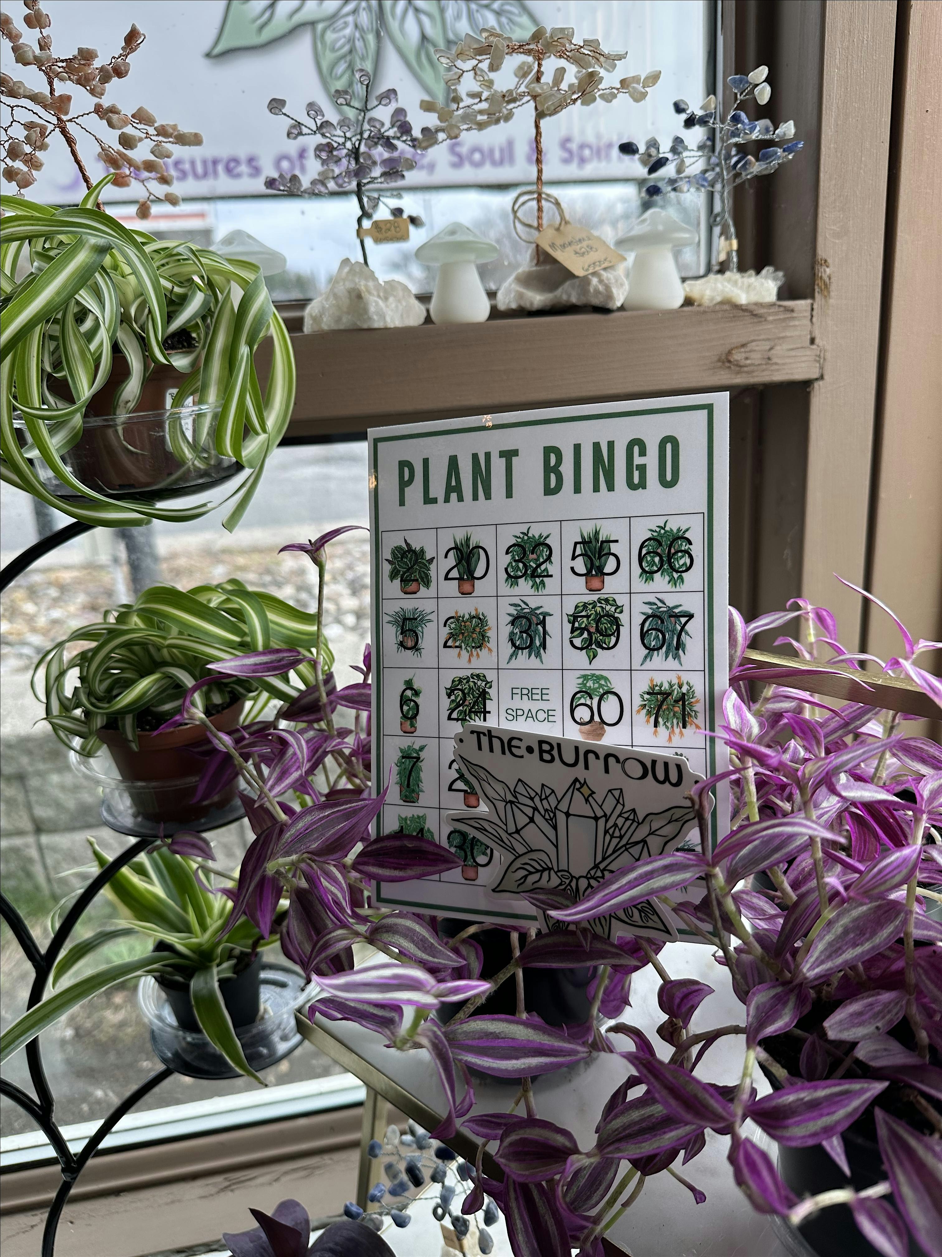 Plant Bingo at The Locker Room – part two! at Locker Room Sports Pub – Lee, MA