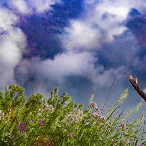 Audacious Raw Theatre Retrospective at – Winona, MN
