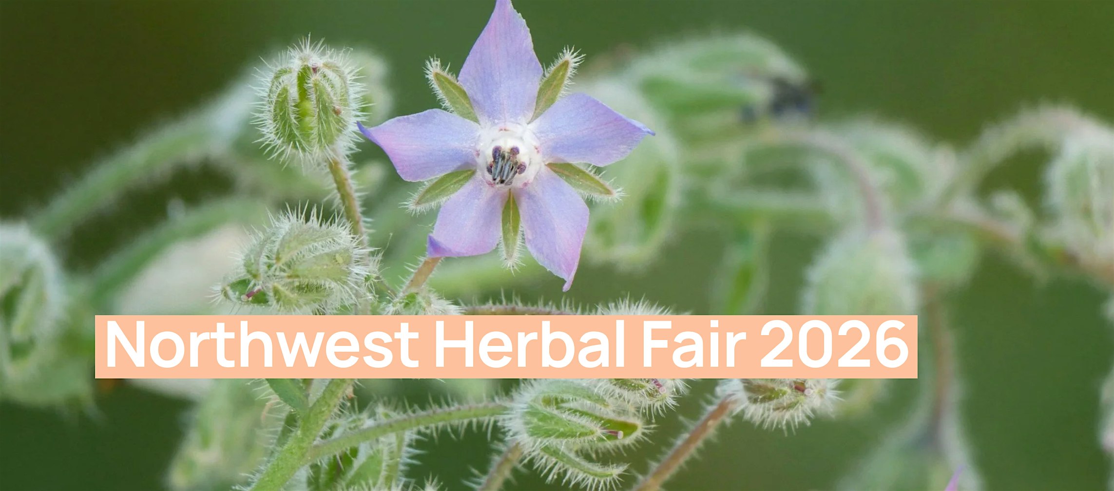 Northwest Herbal Fair 2026 at Finnriver Farm & Cidery – Chimacum, WA