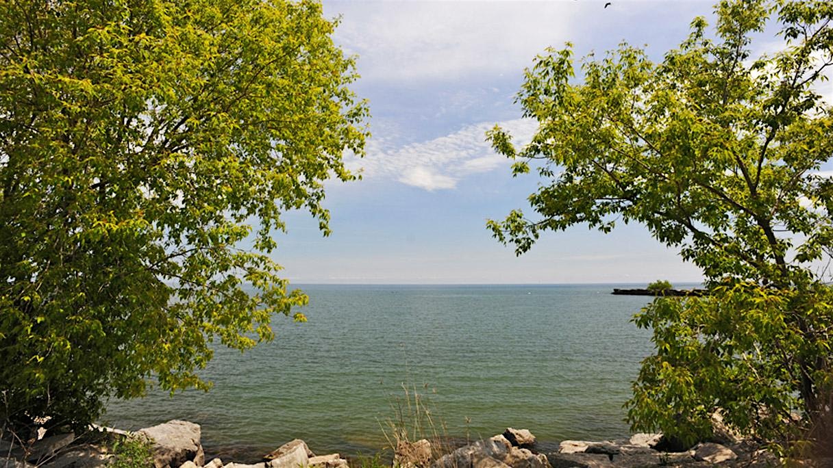 Party in the Park at J.C. Saddington Park – Mississauga, Canada