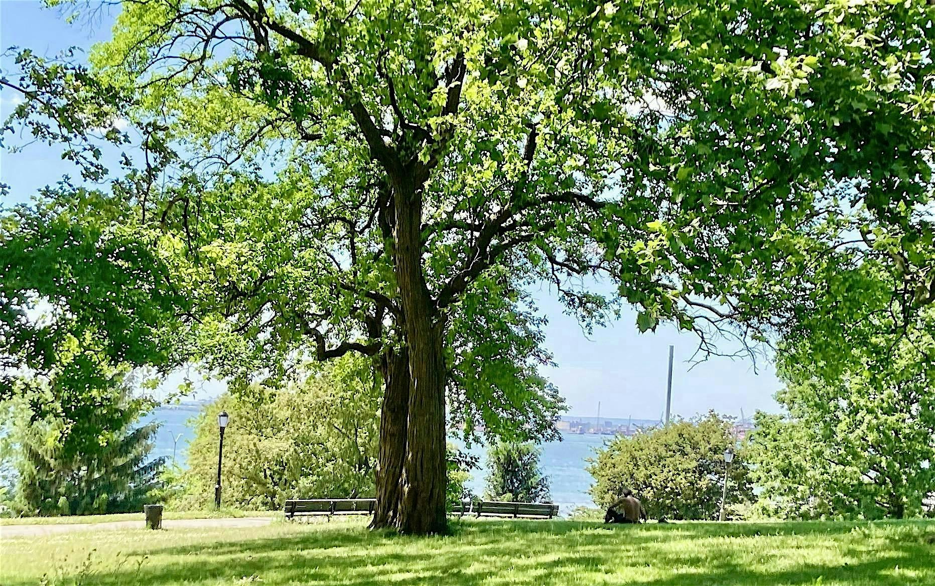 Mindful Nature Journaling Hike at Owl’s Head Park (Brooklyn) at Owl’s Head Park – Brooklyn, NY