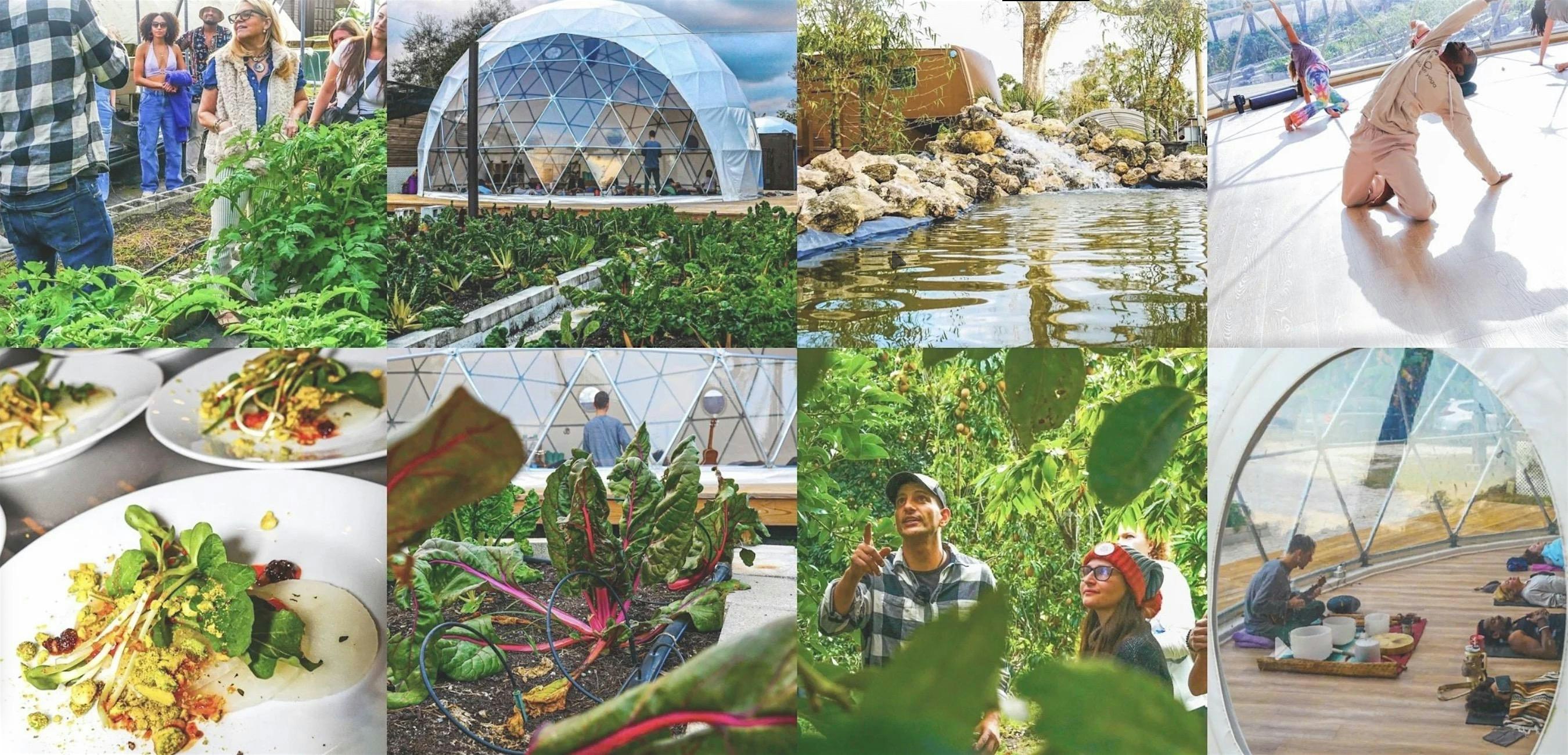 The Soul Bootcamp at Gratitude Garden Farm – Loxahatchee Groves, FL