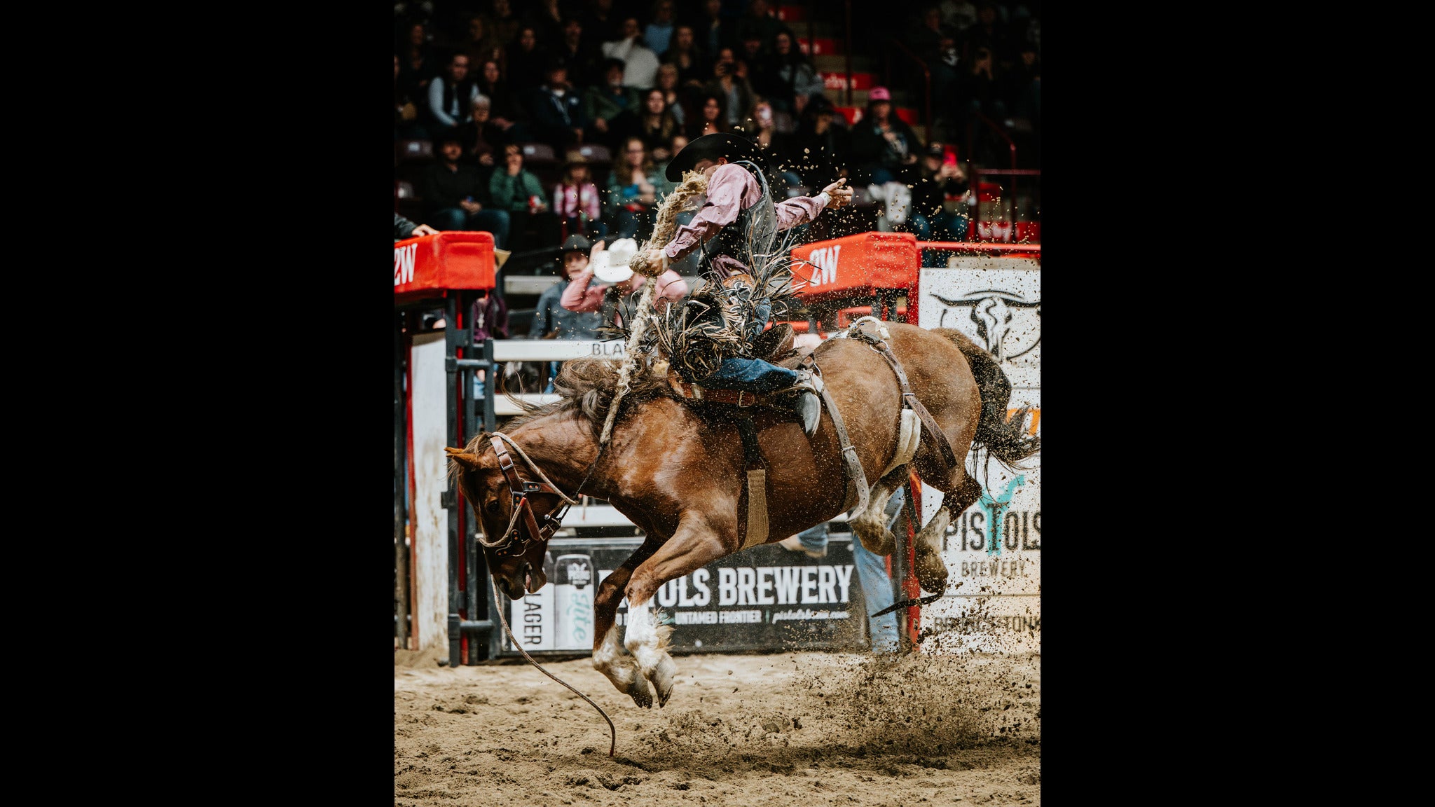 Moncton KIOTI Stampede at Avenir Centre – Moncton, Canada