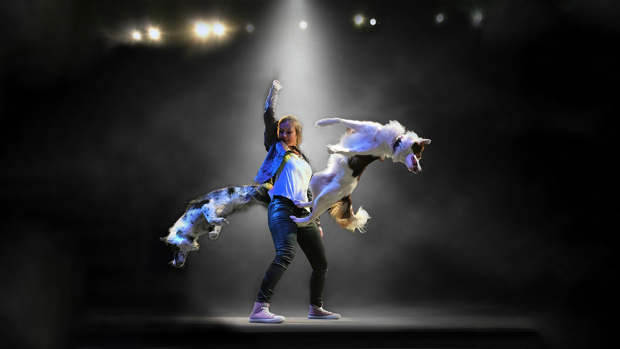 Mutts Gone Nuts at Pasquerilla Performing Arts Center – Johnstown, PA